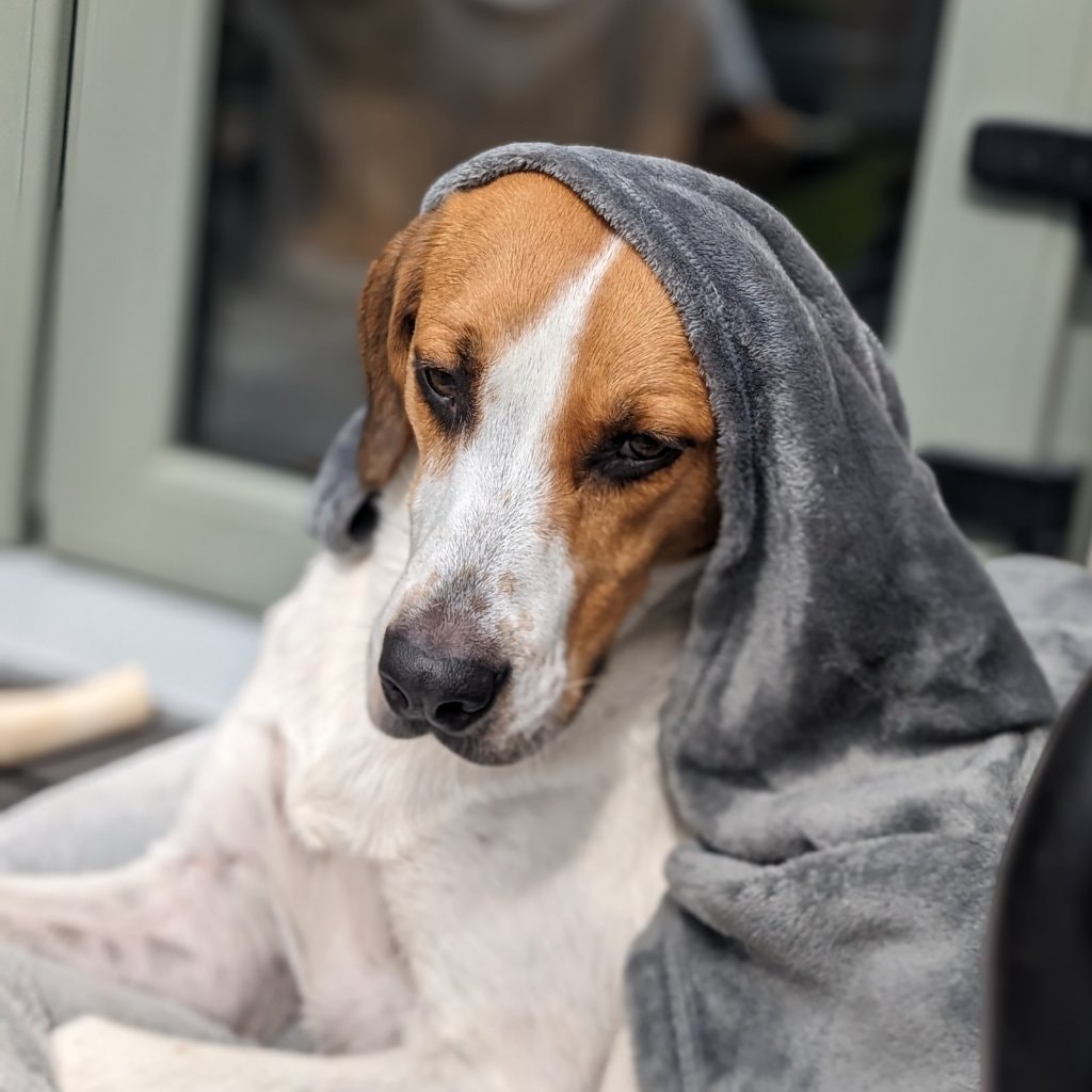 Max