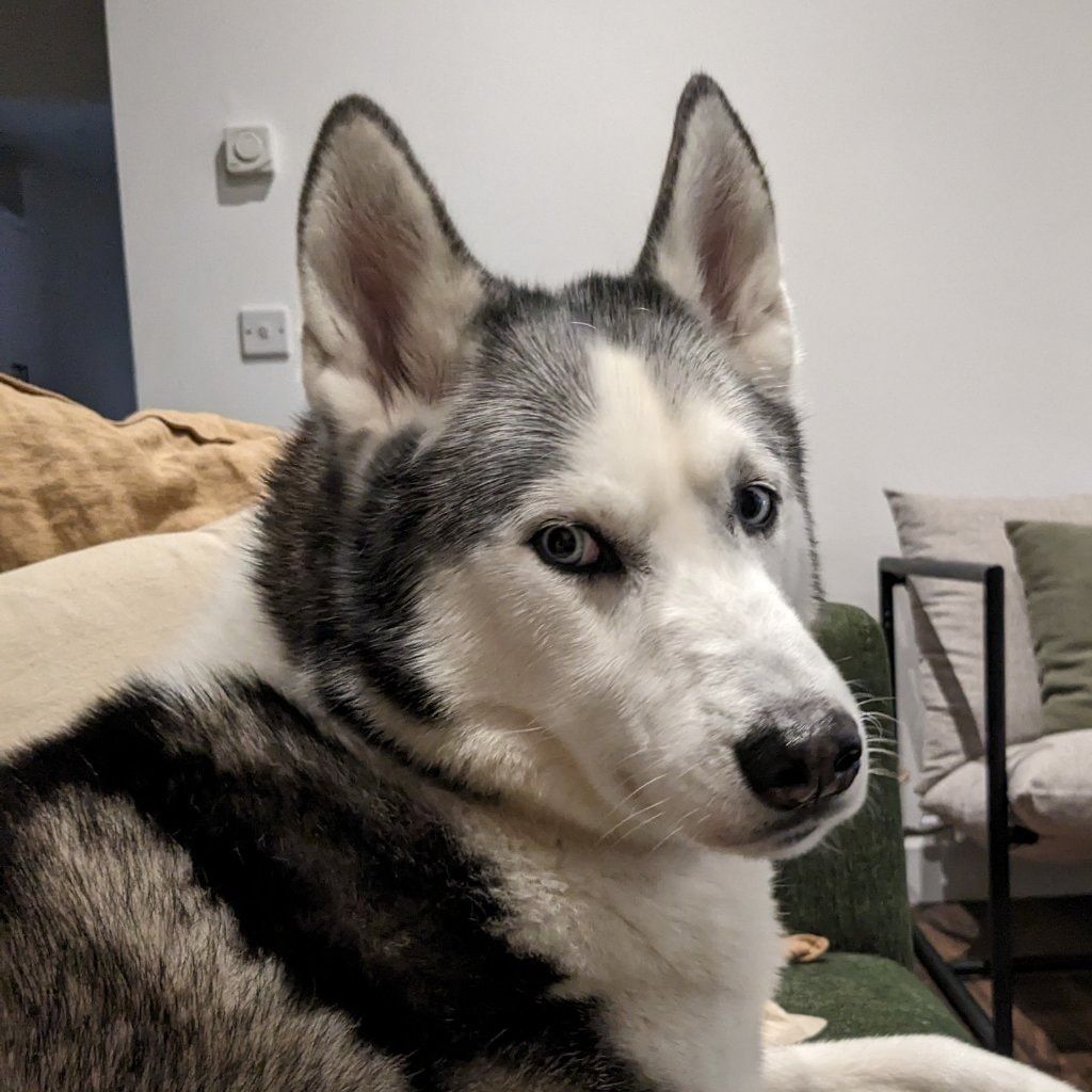 Jack