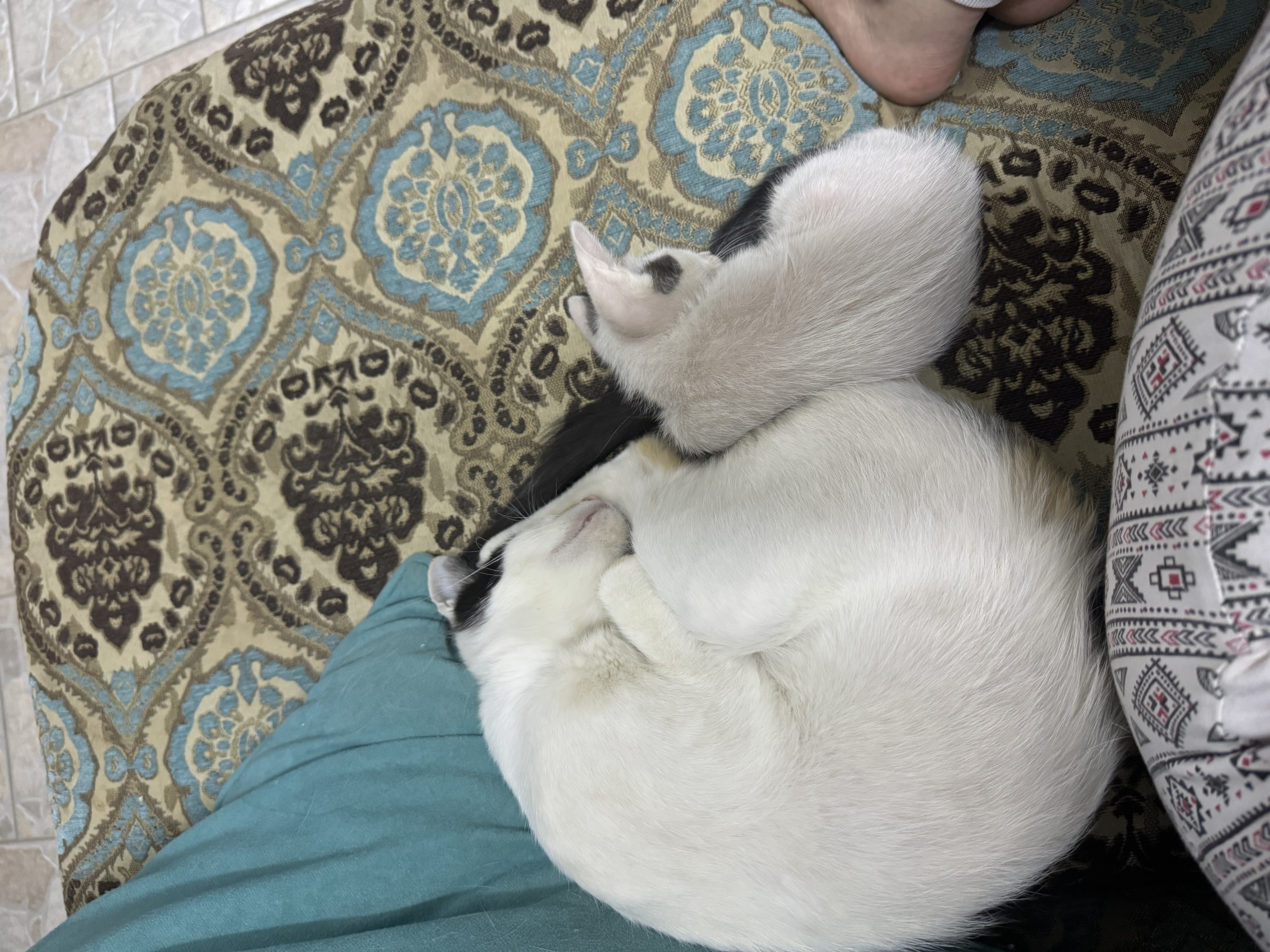 image-9