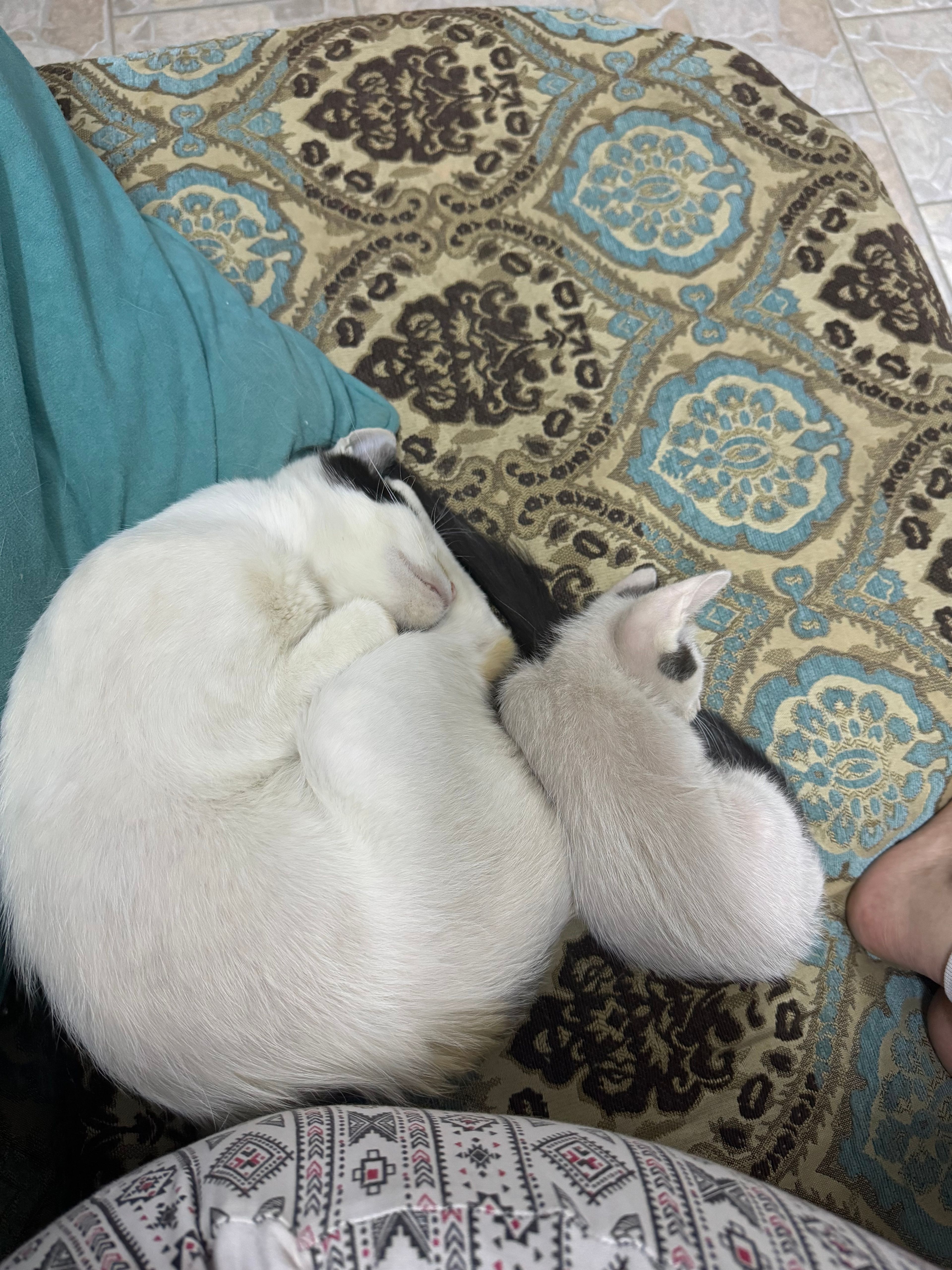 image-9