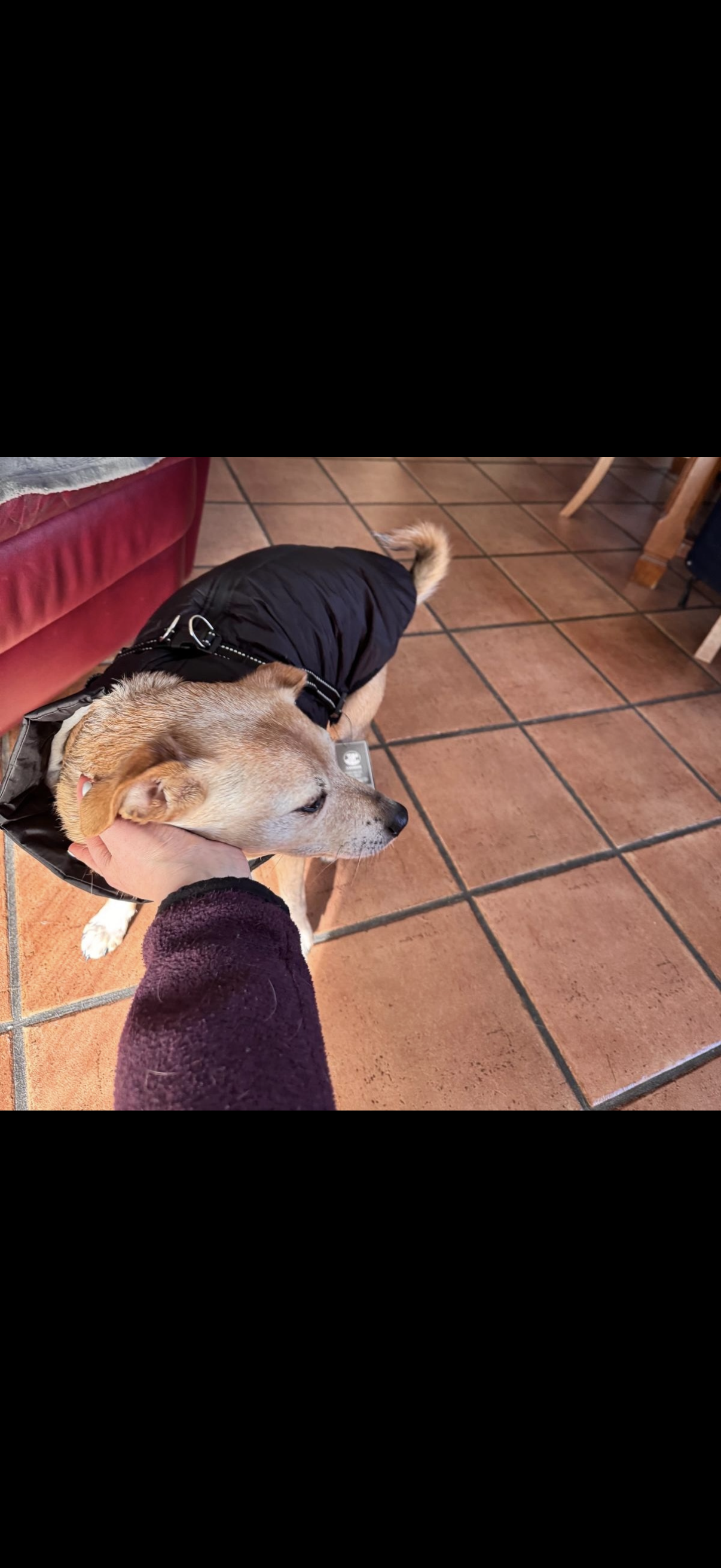 image-14