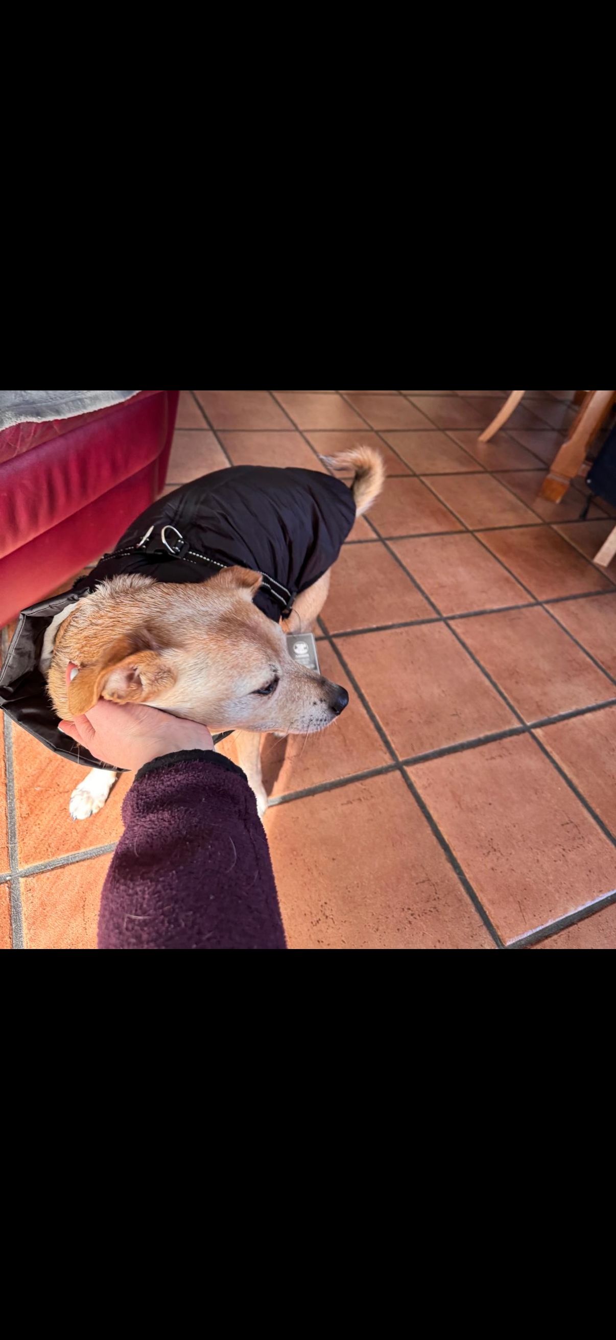 image-14