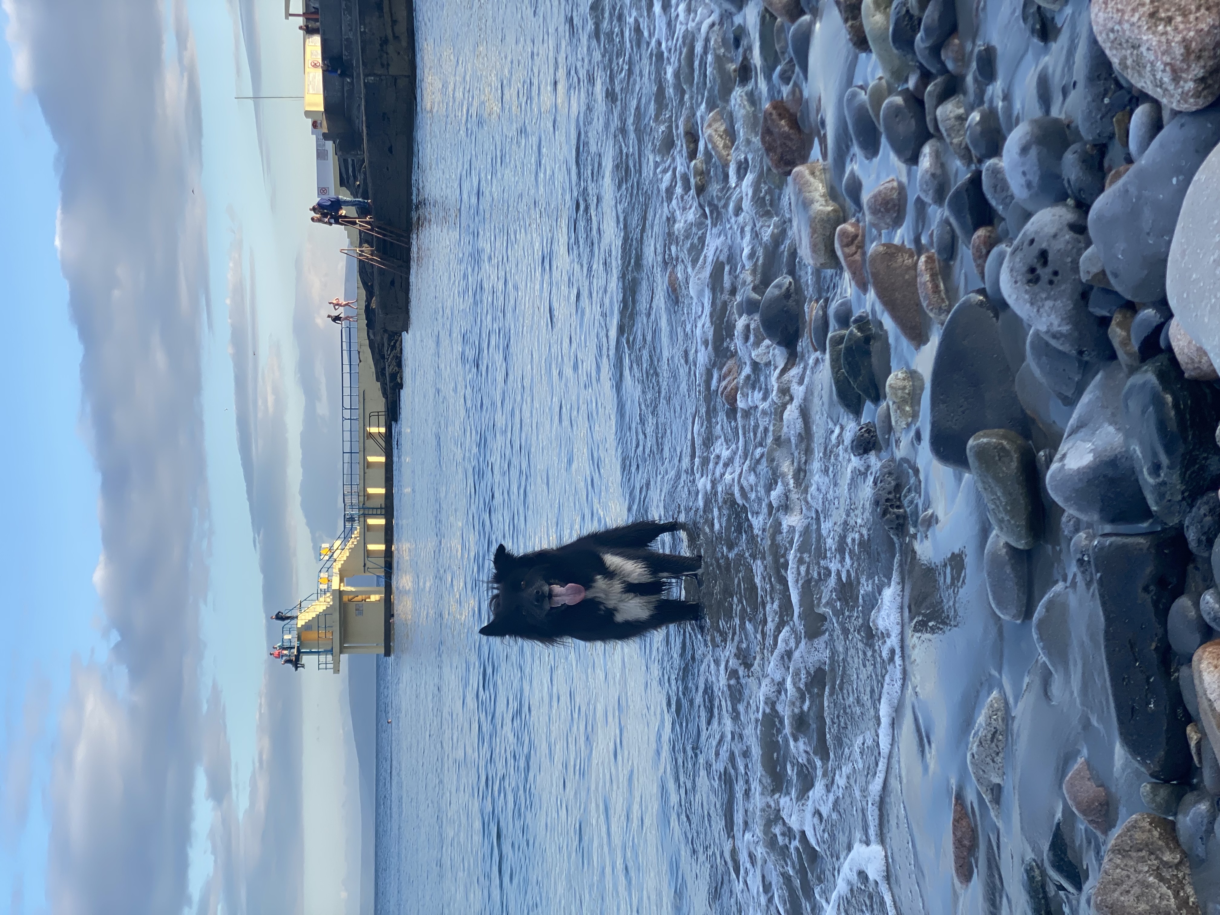 image-17
