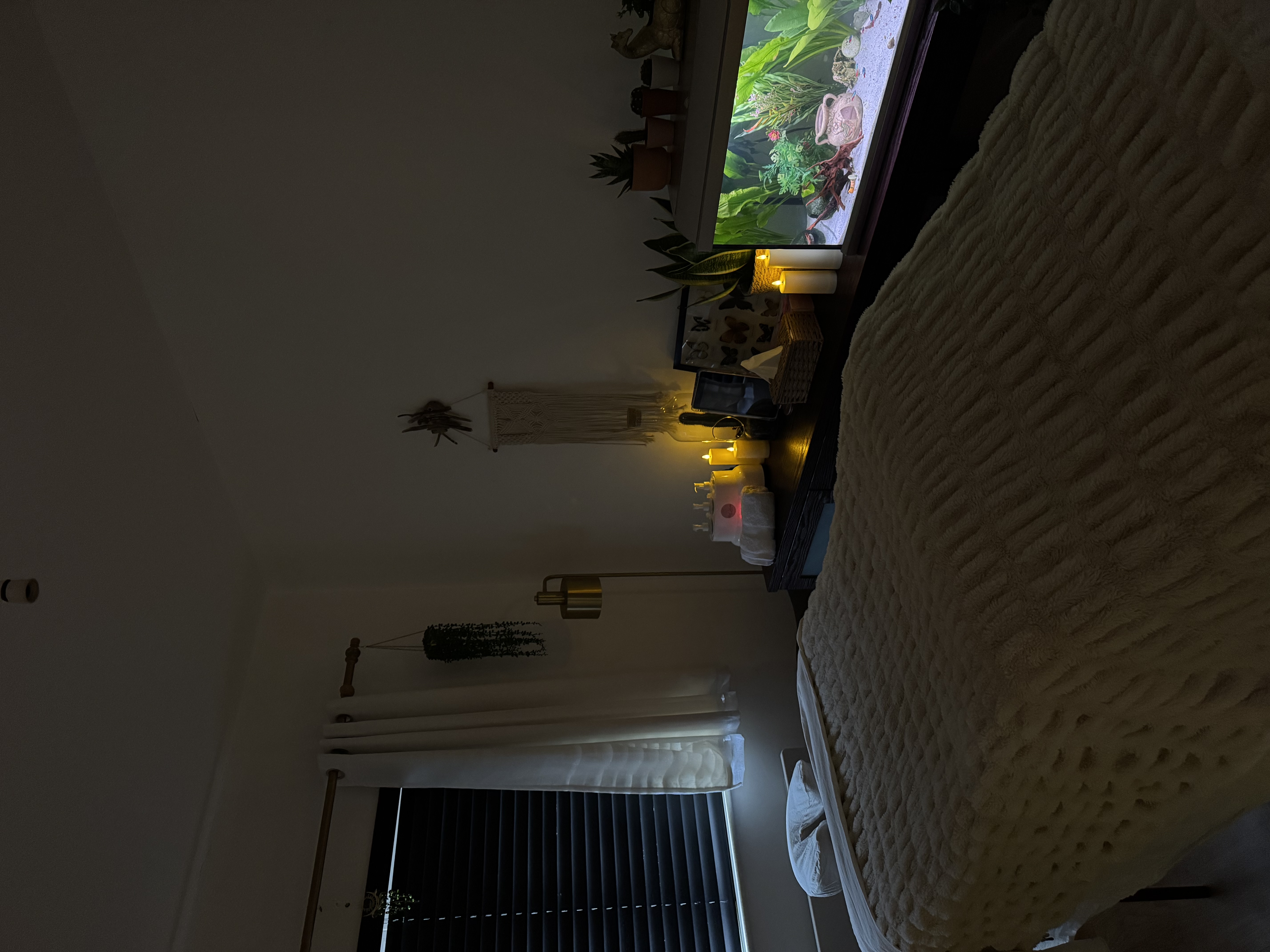 image-18