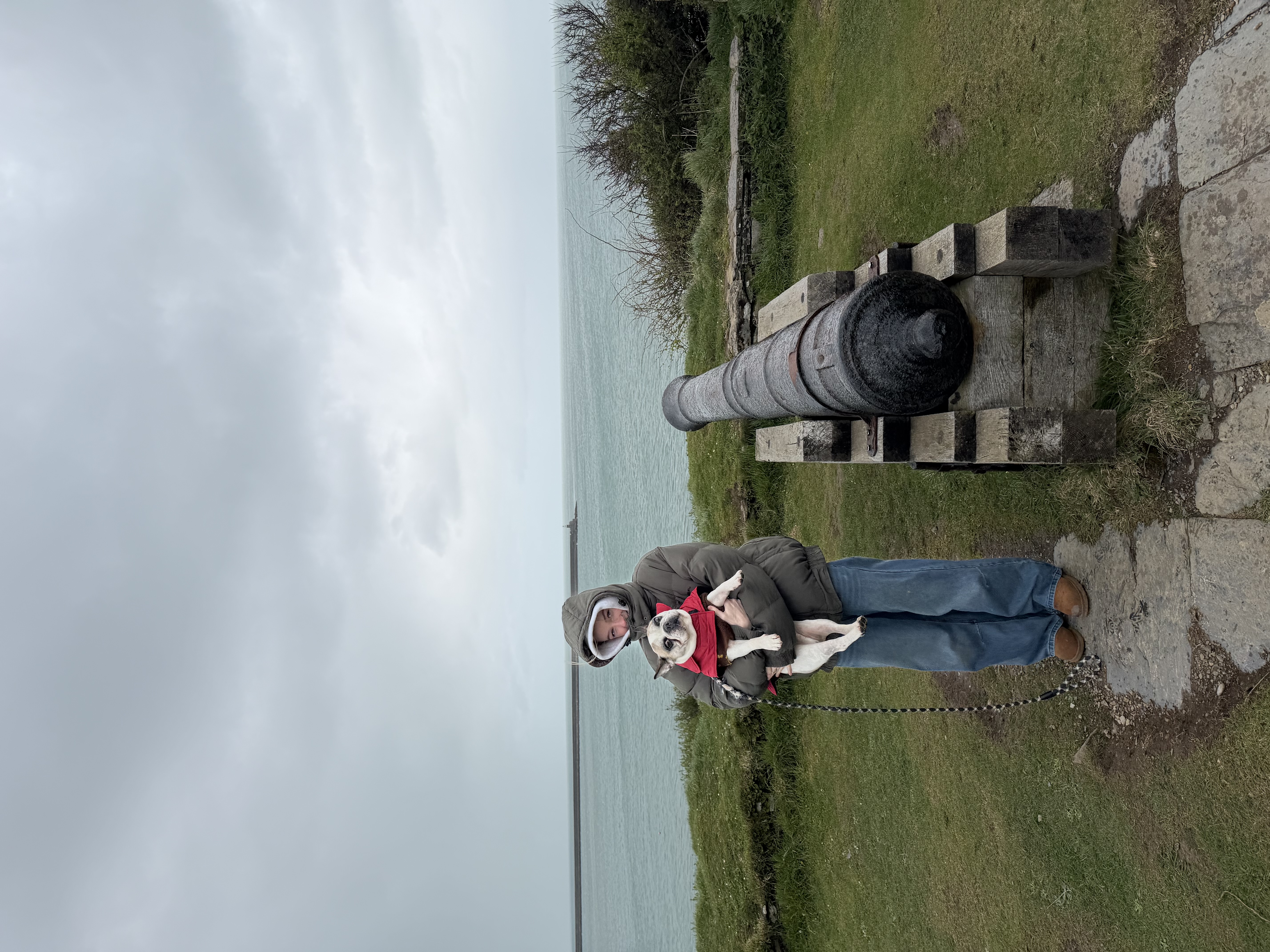 image-10