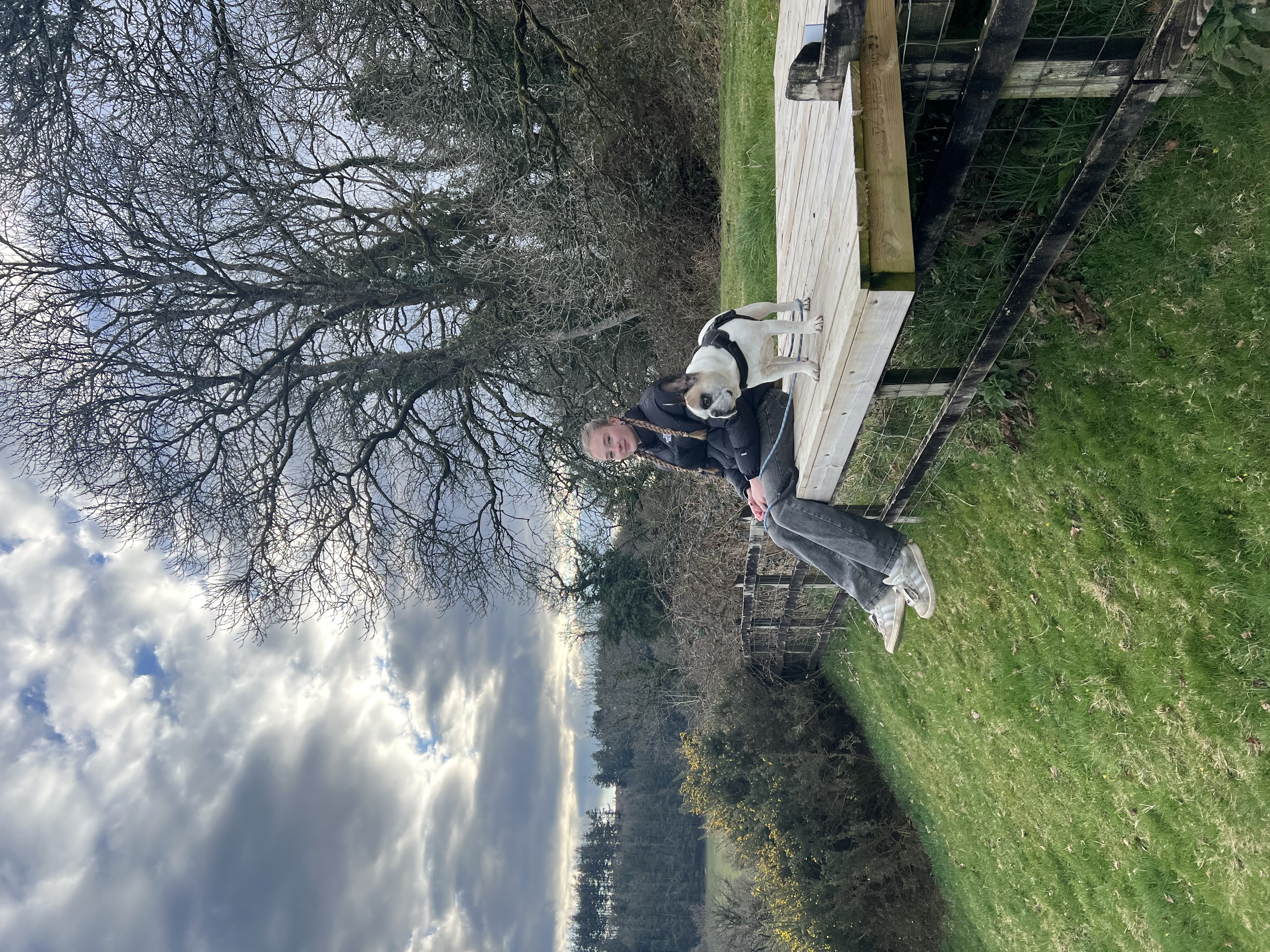 image-14