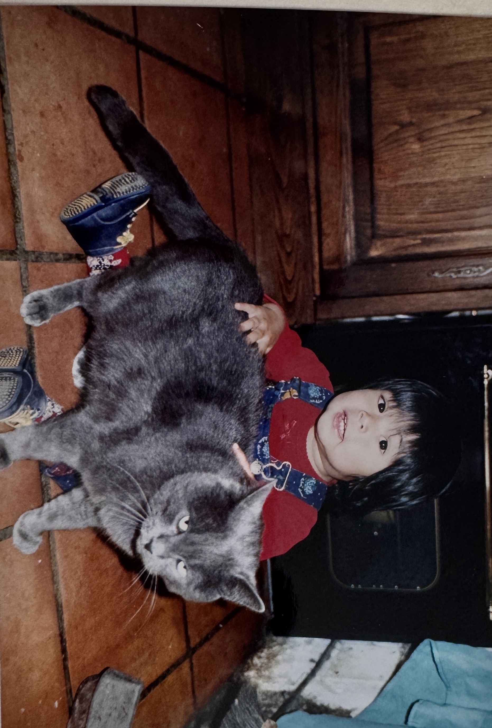image-7