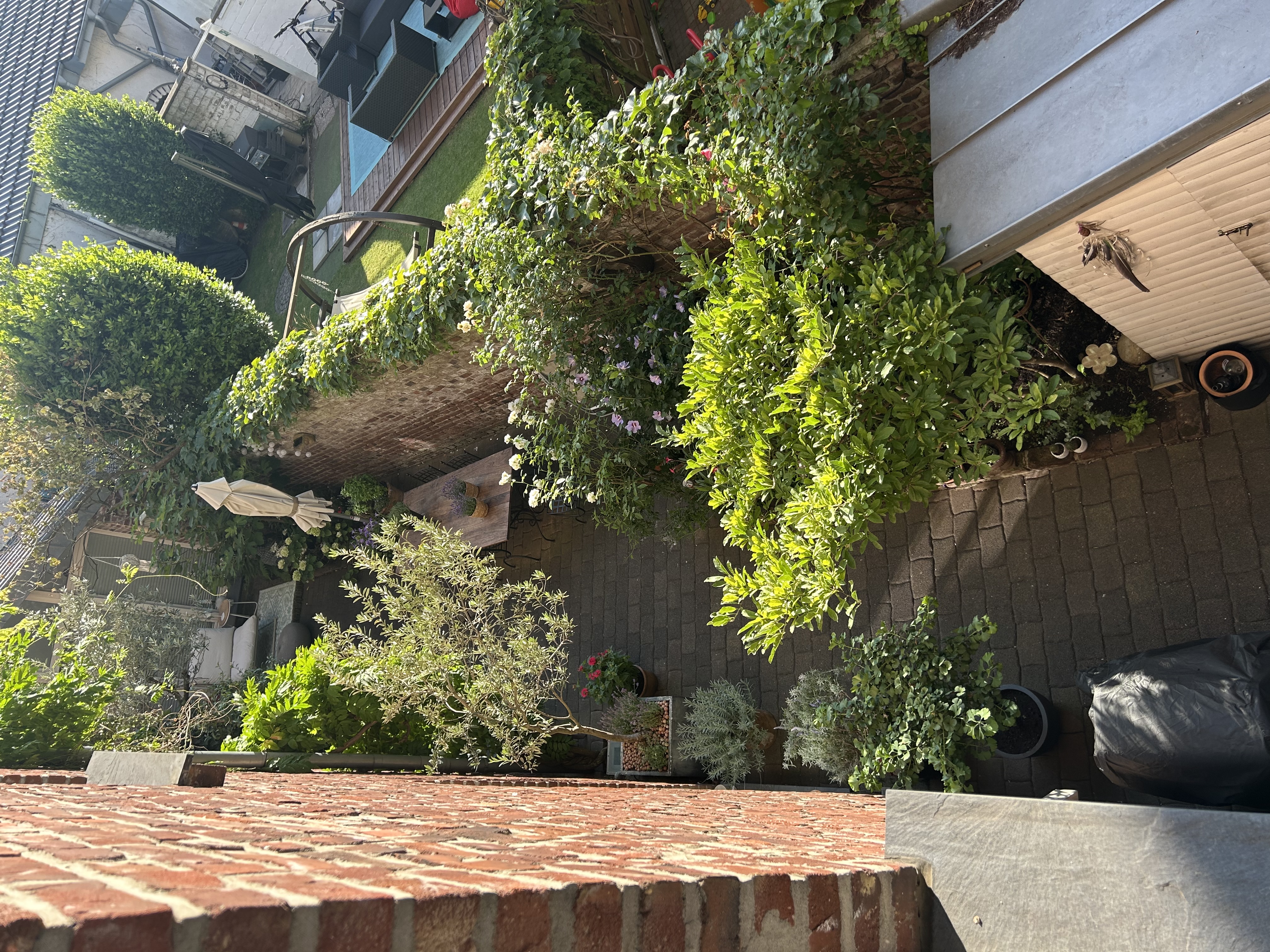 image-9