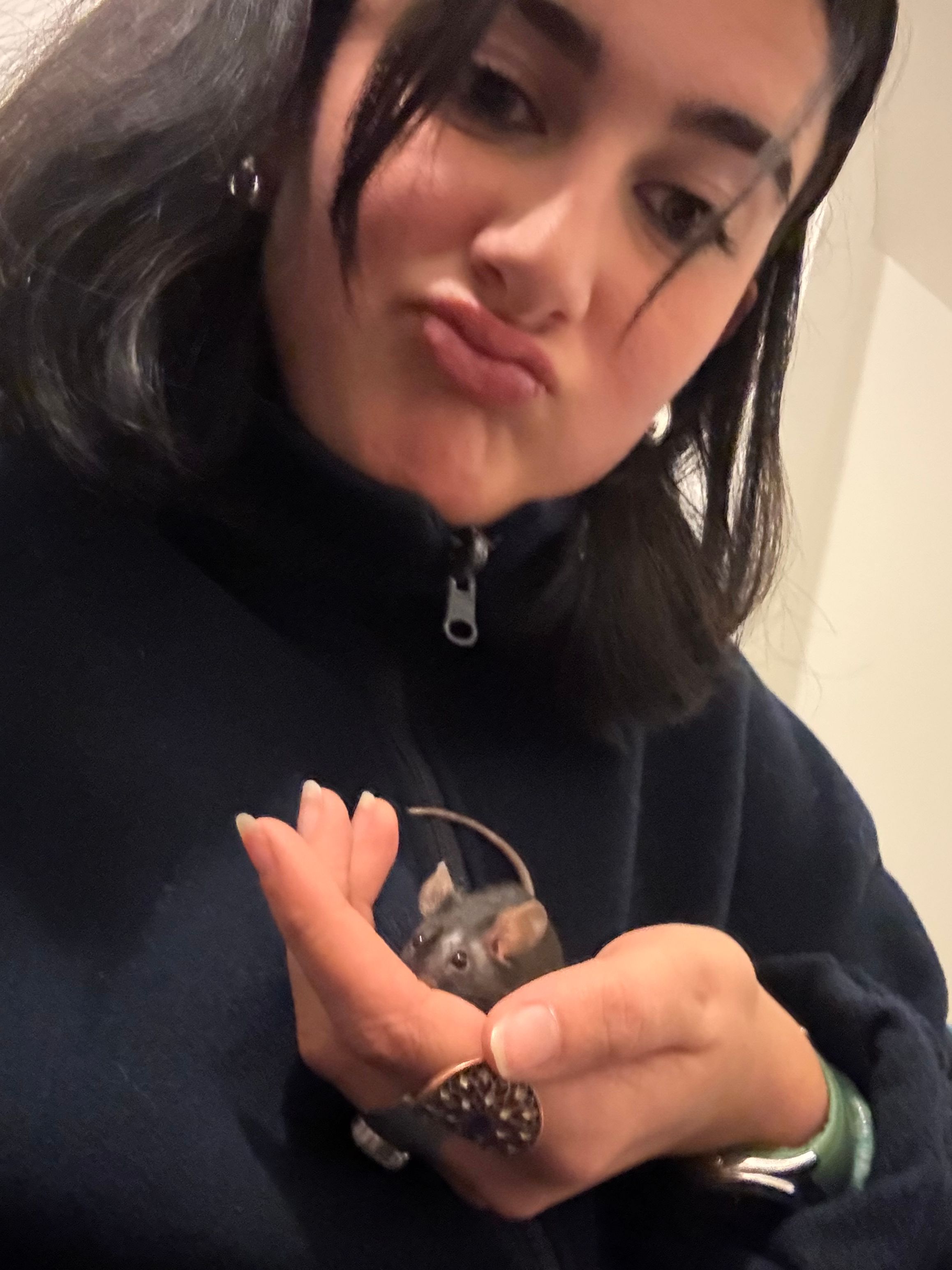 image-9