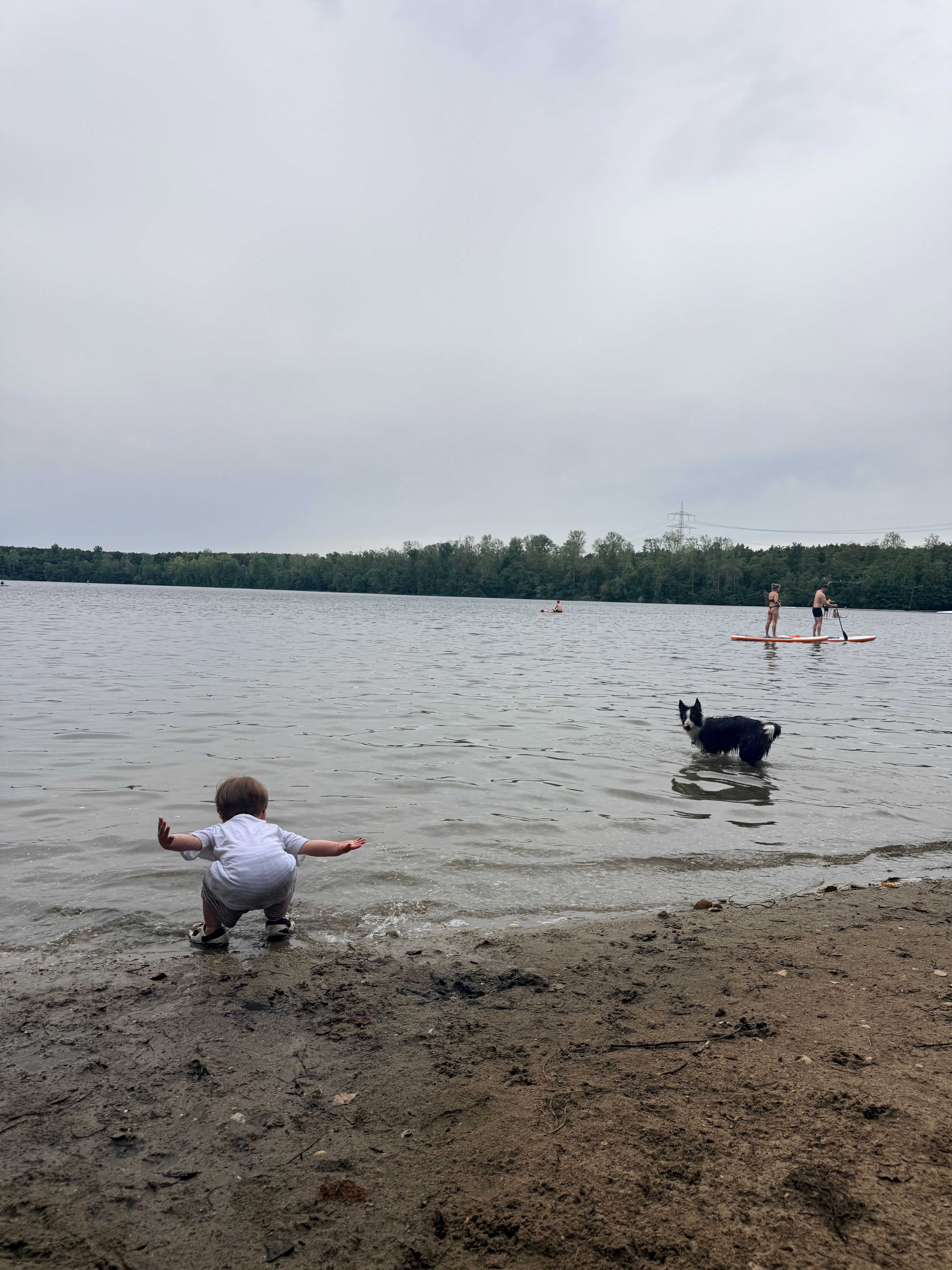 image-22