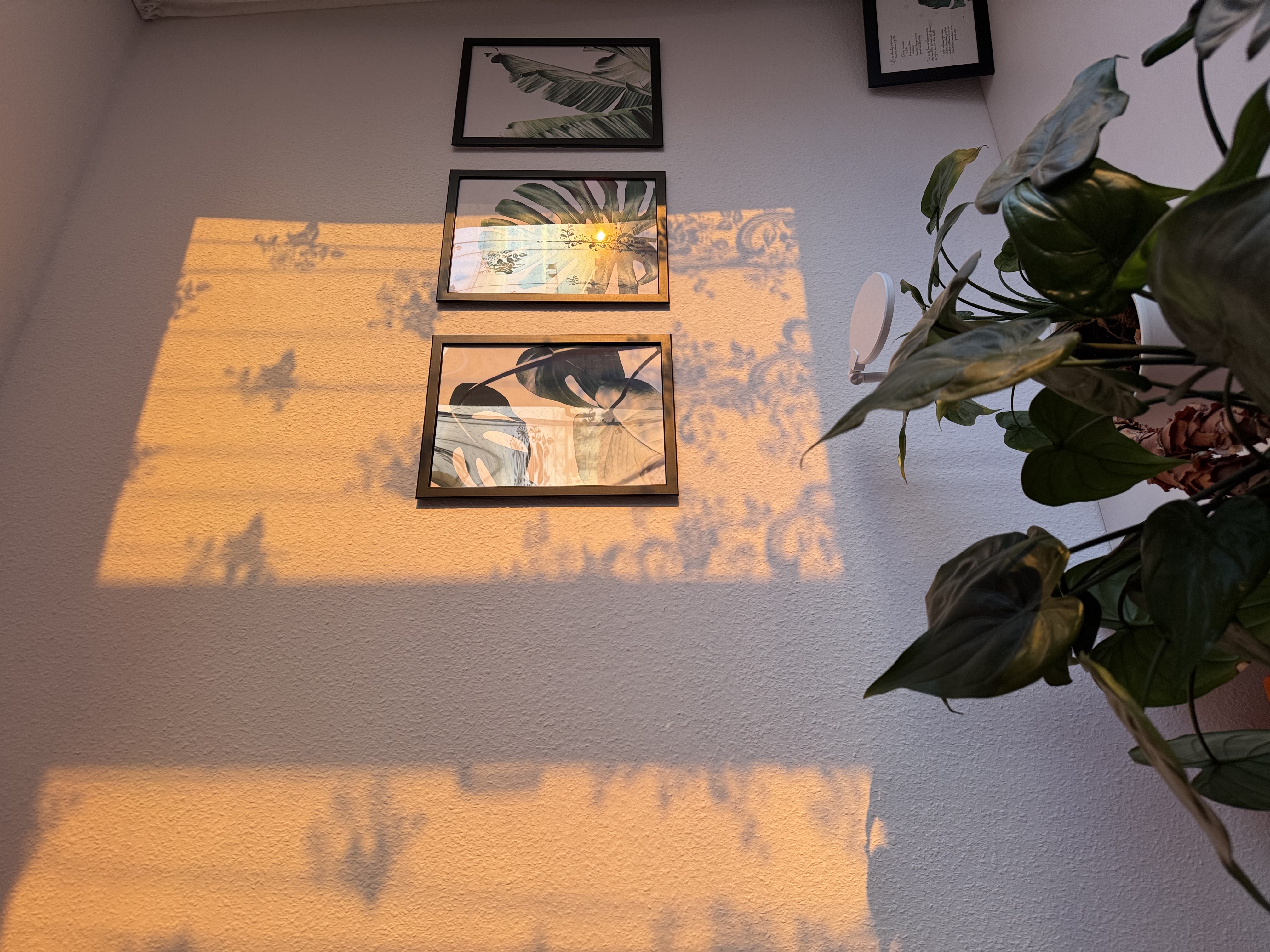image-18