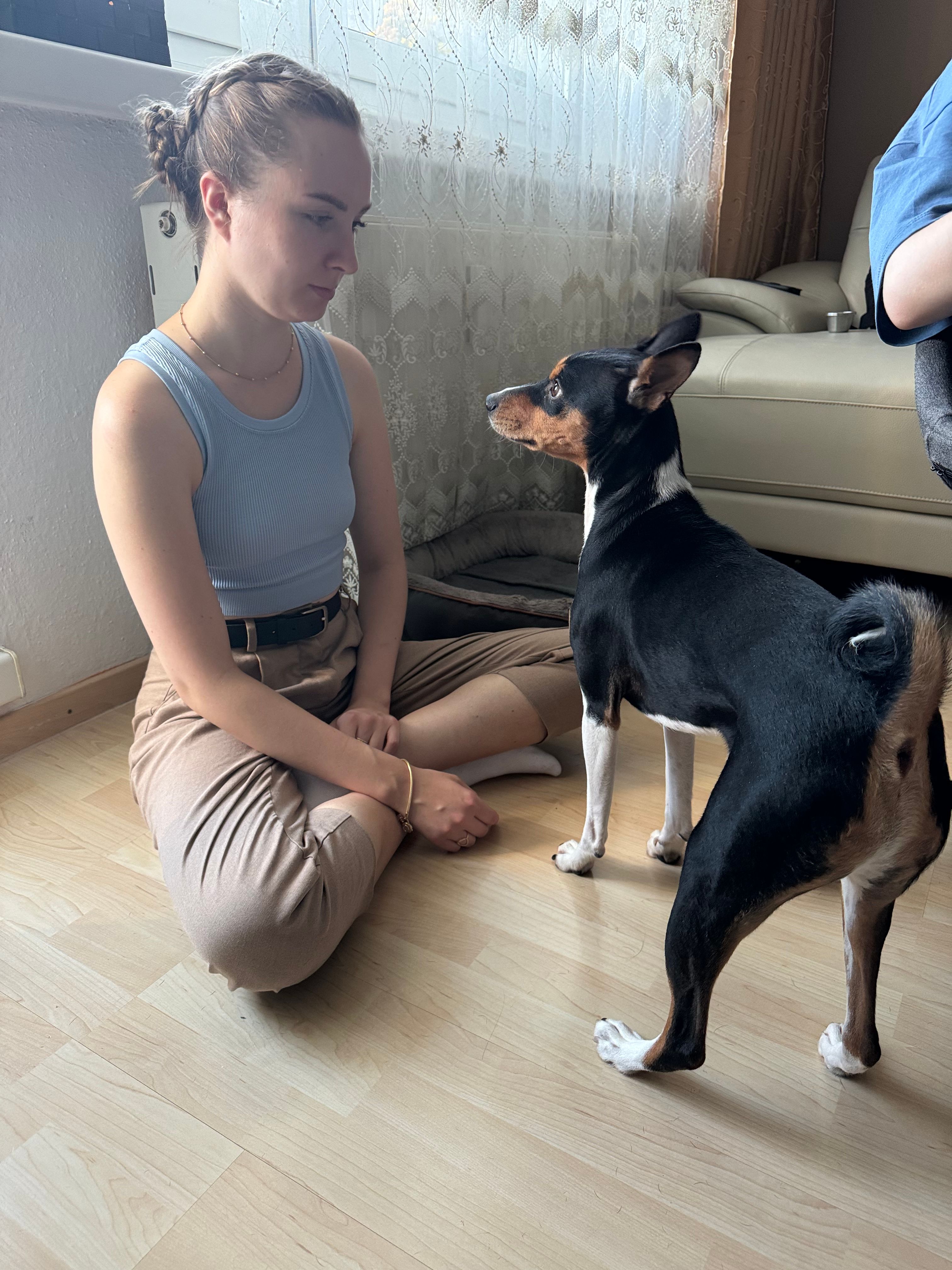 image-11