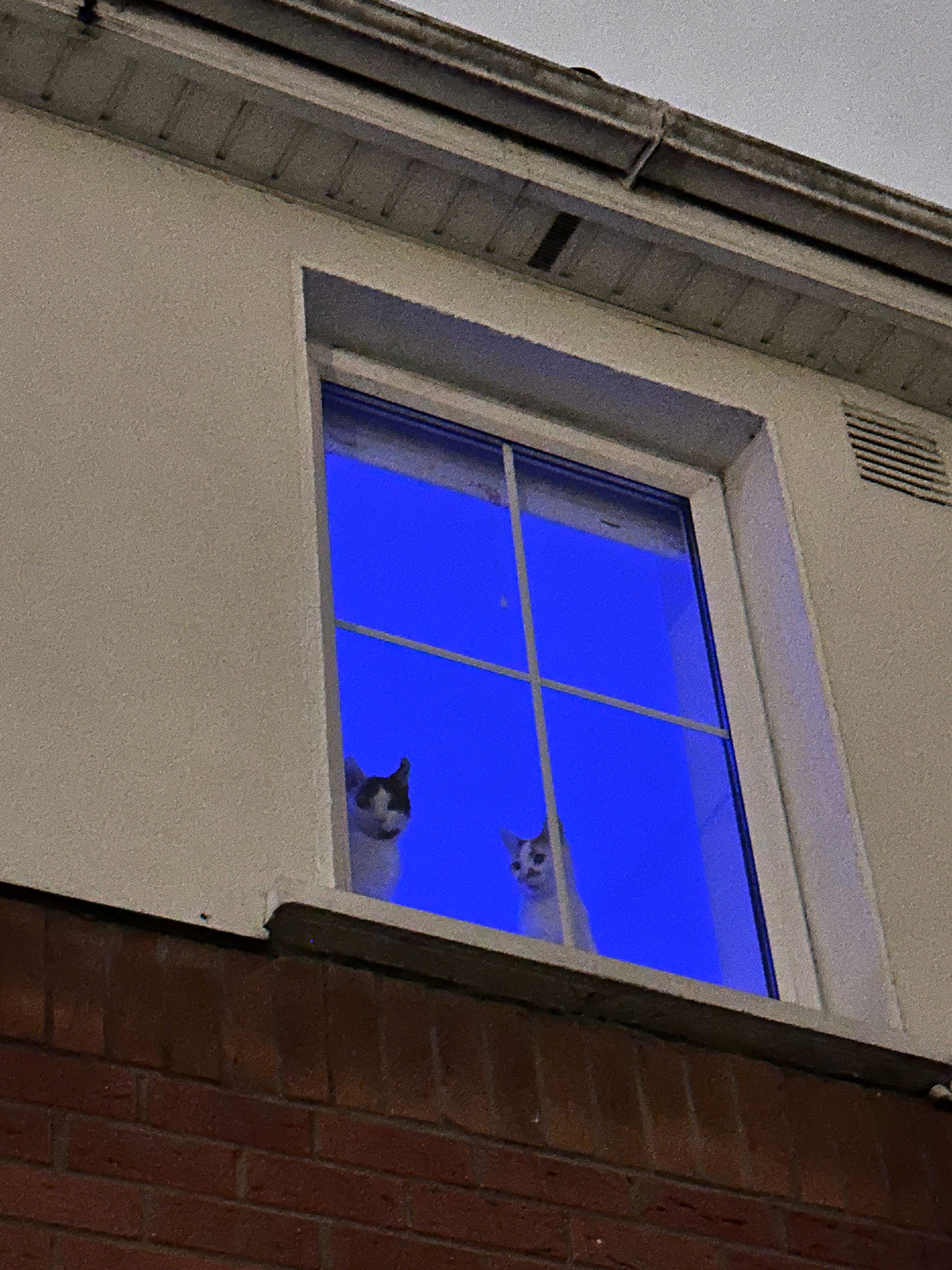 image-27