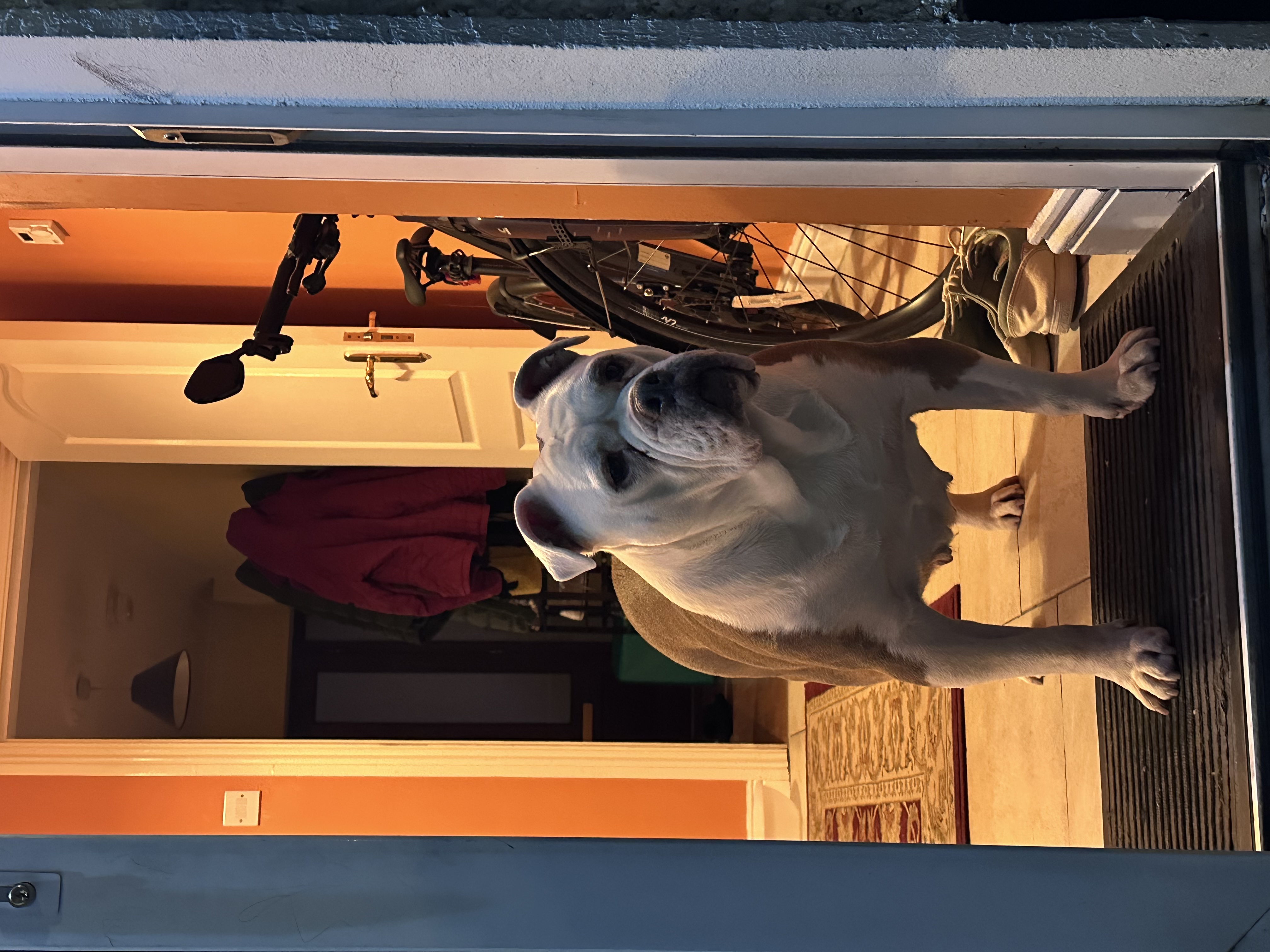 image-3