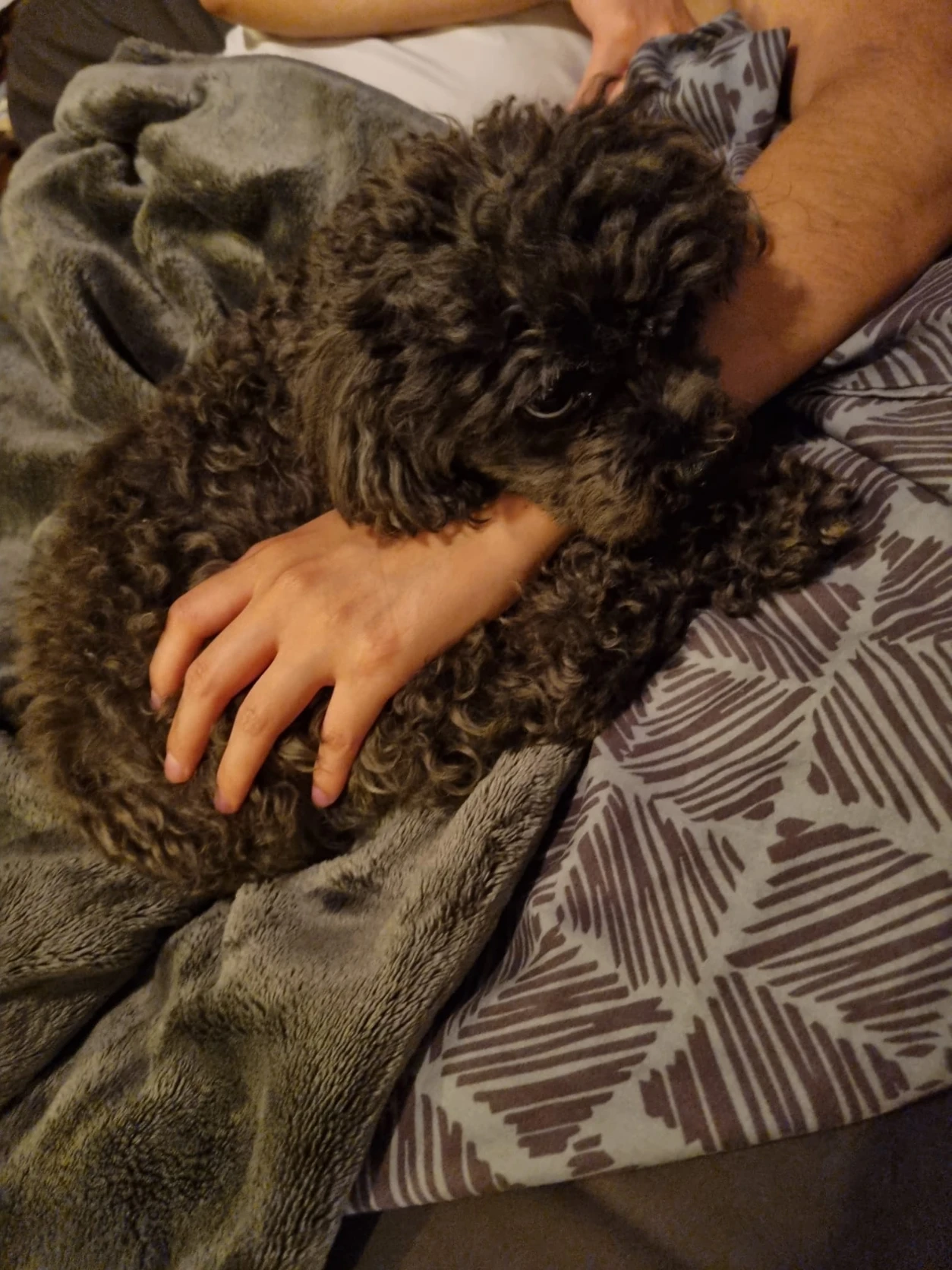 image-8