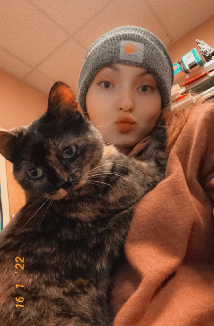 image-9