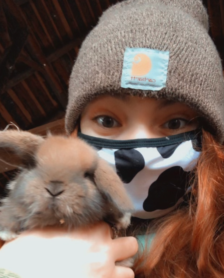 image-8