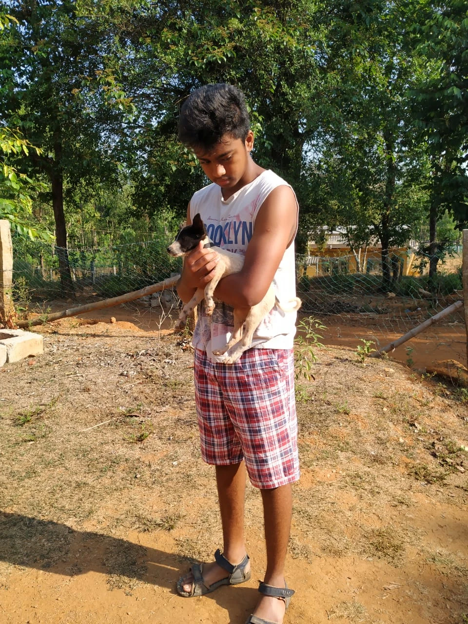 image-7