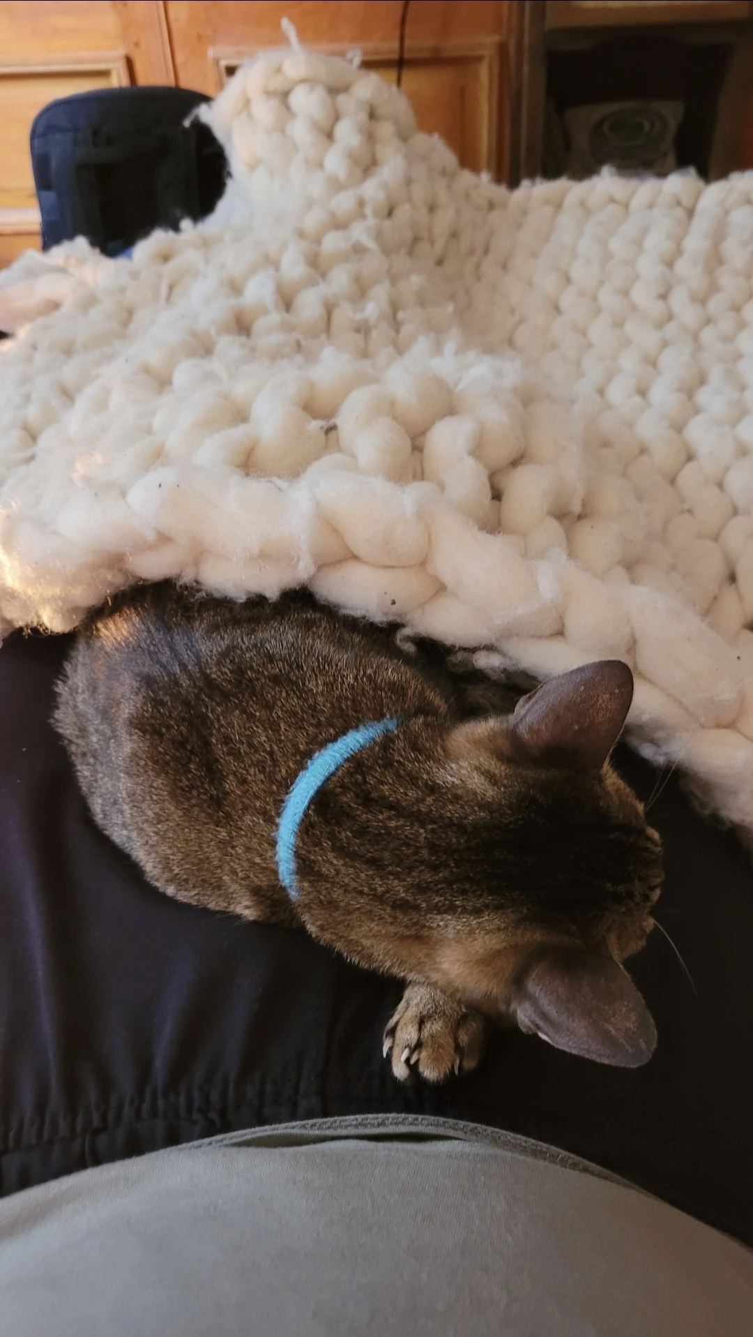 image-16