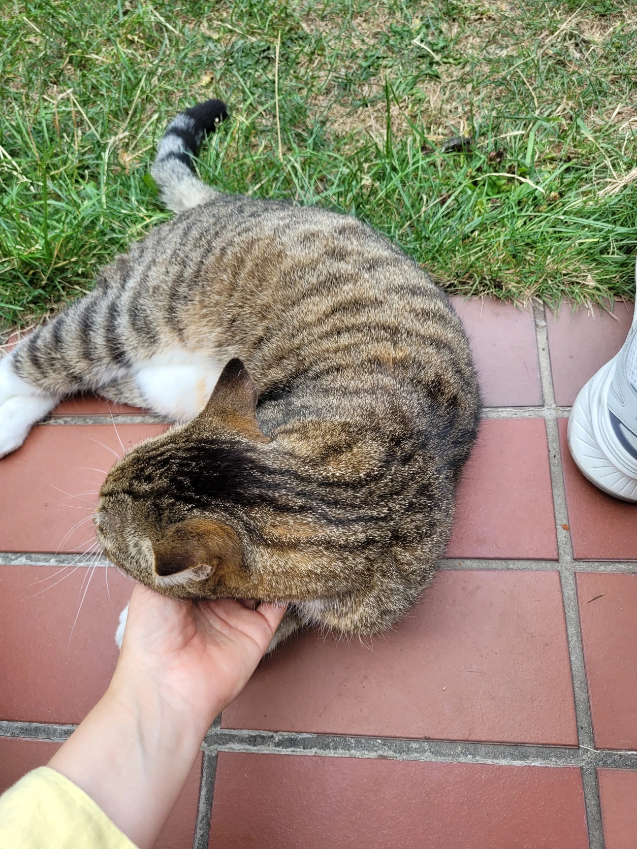 image-16
