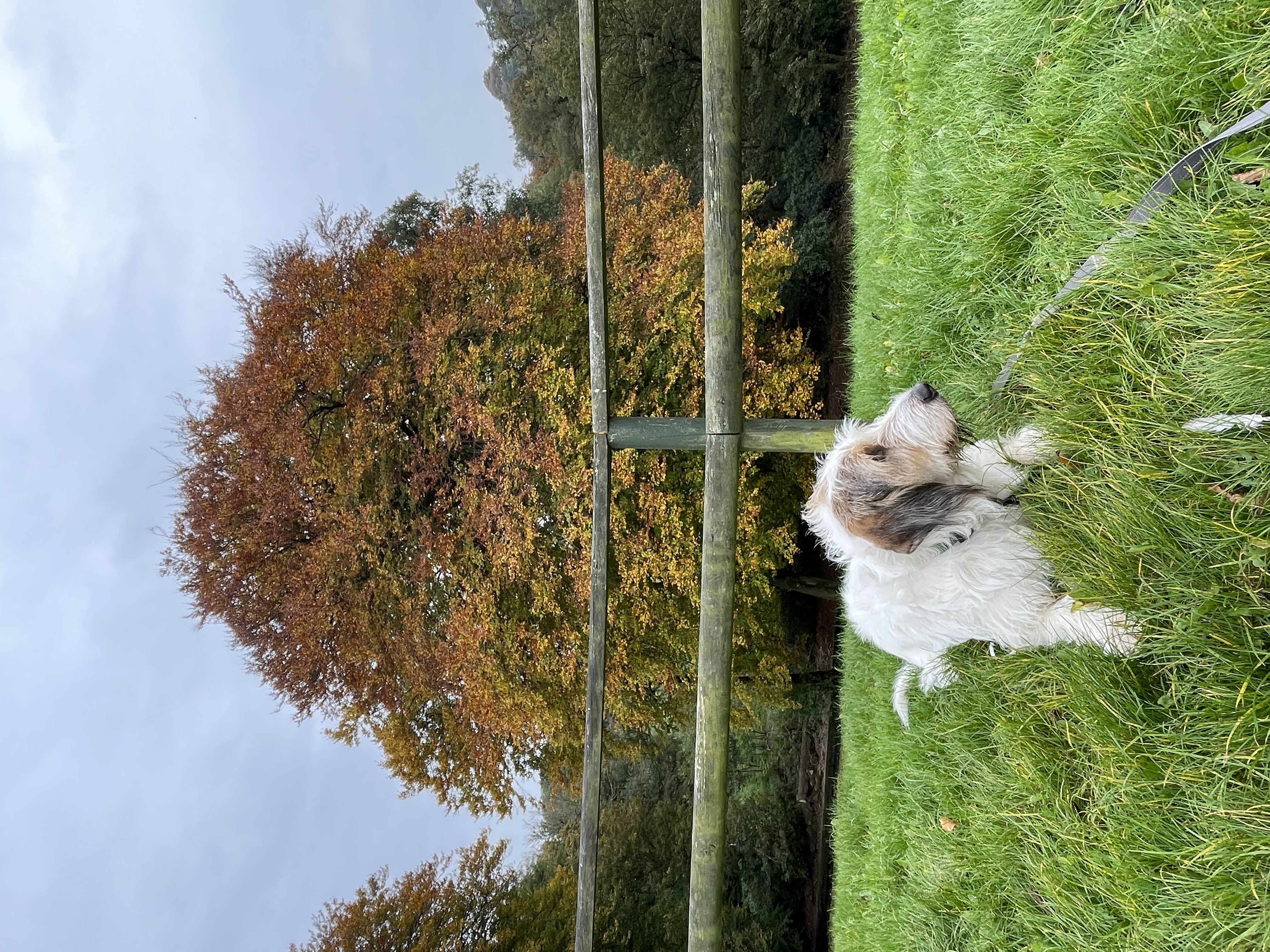 image-8