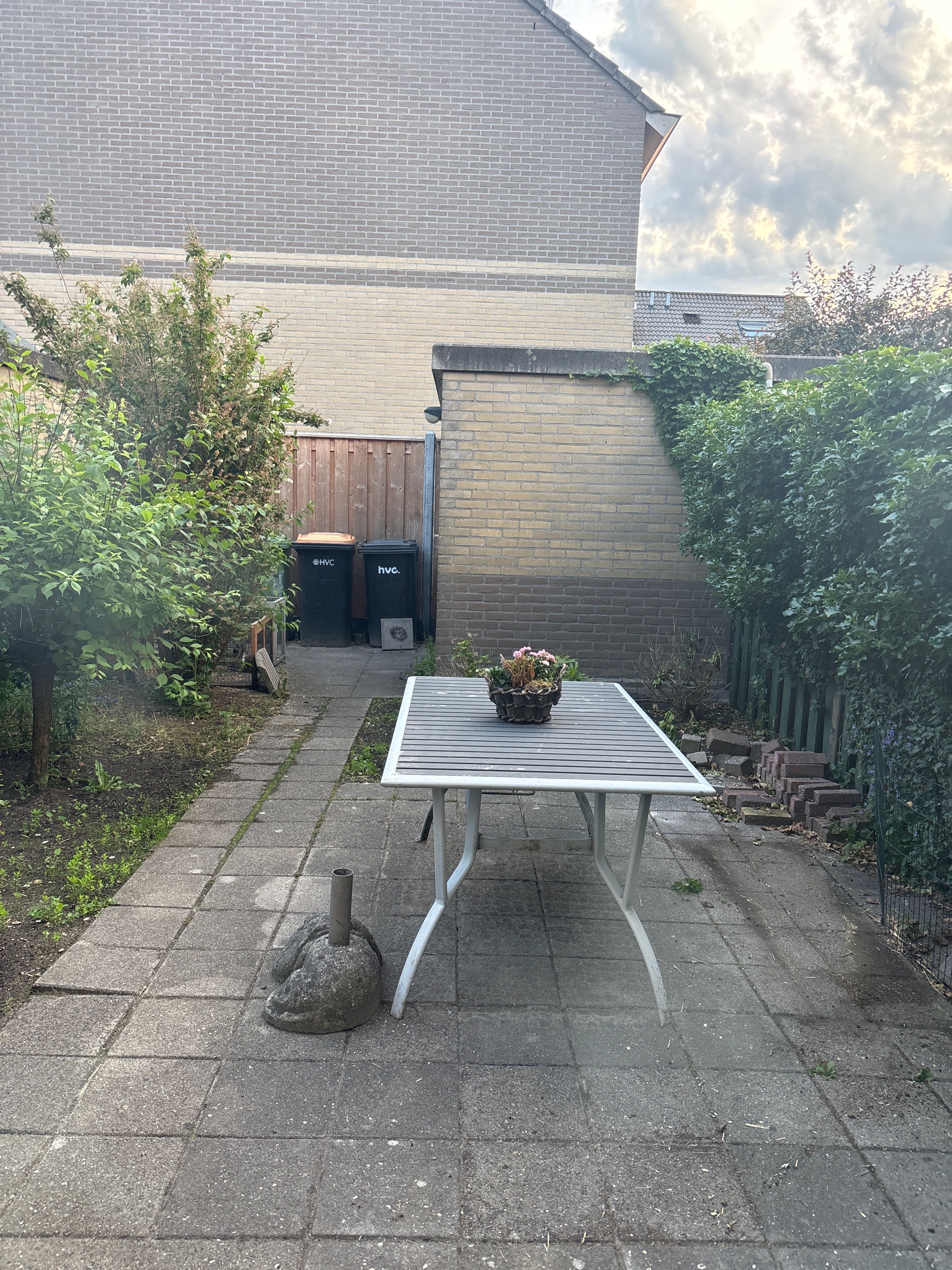 image-14