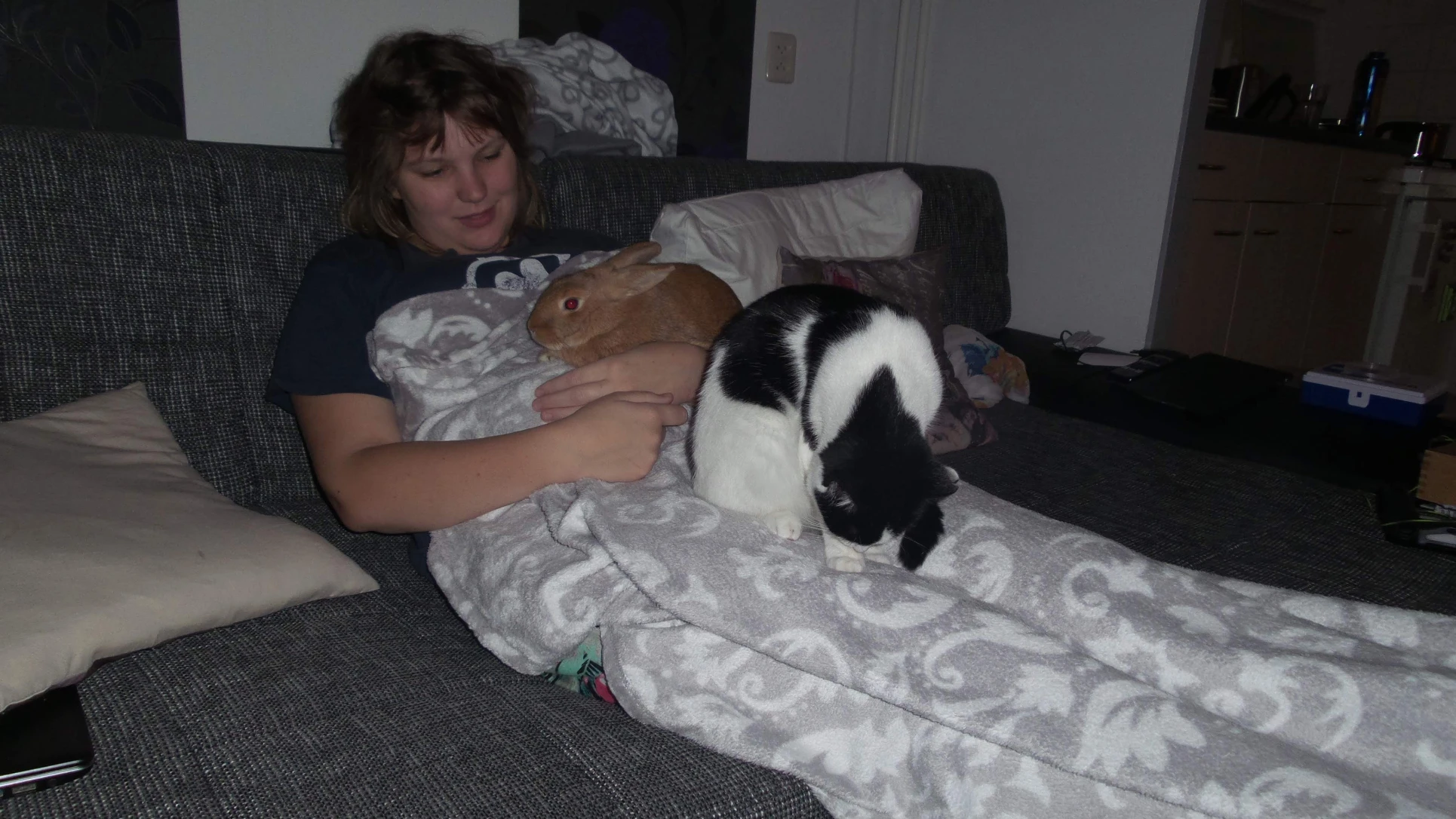 image-3