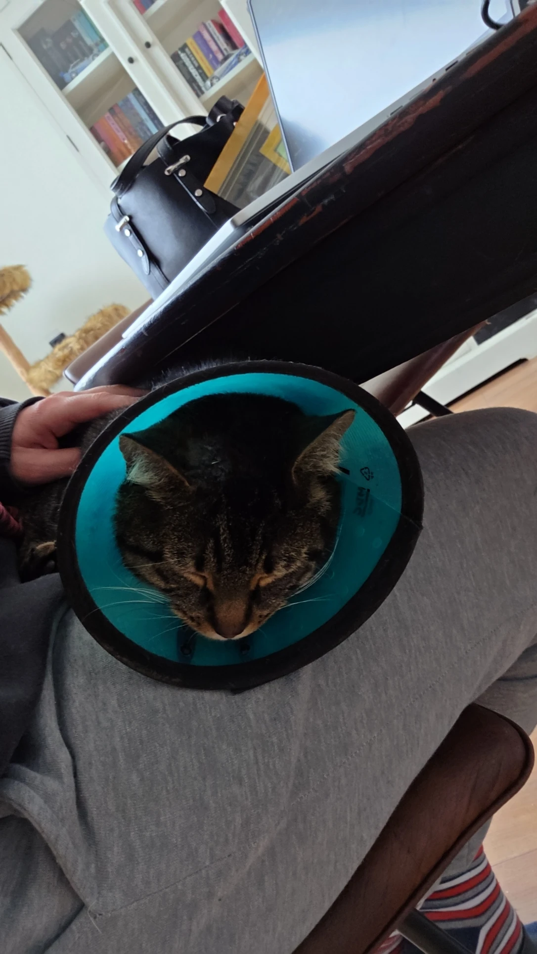 image-5