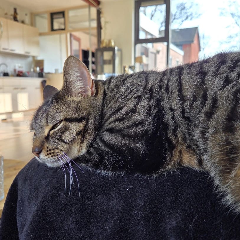 Tripod