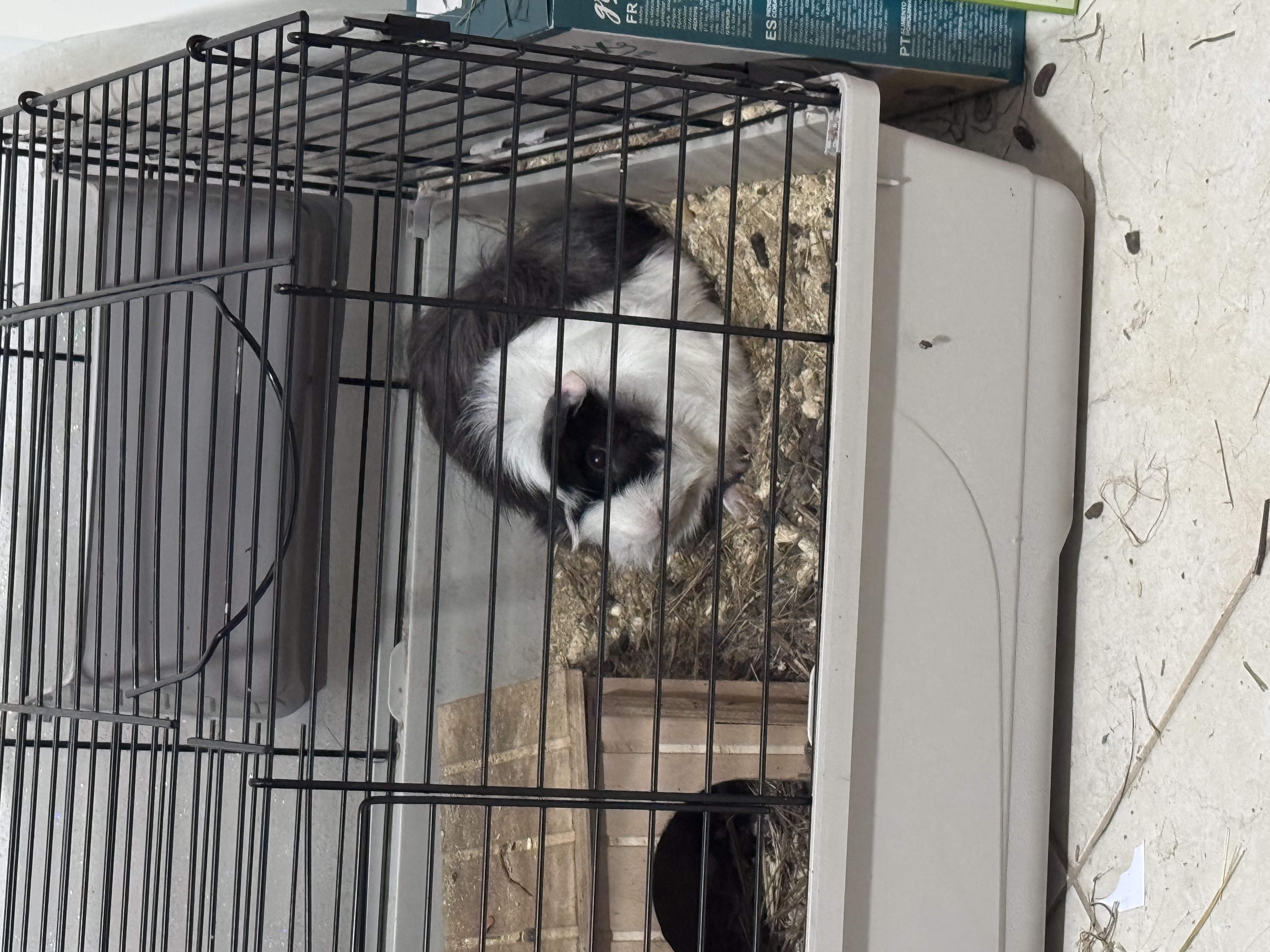 image-6
