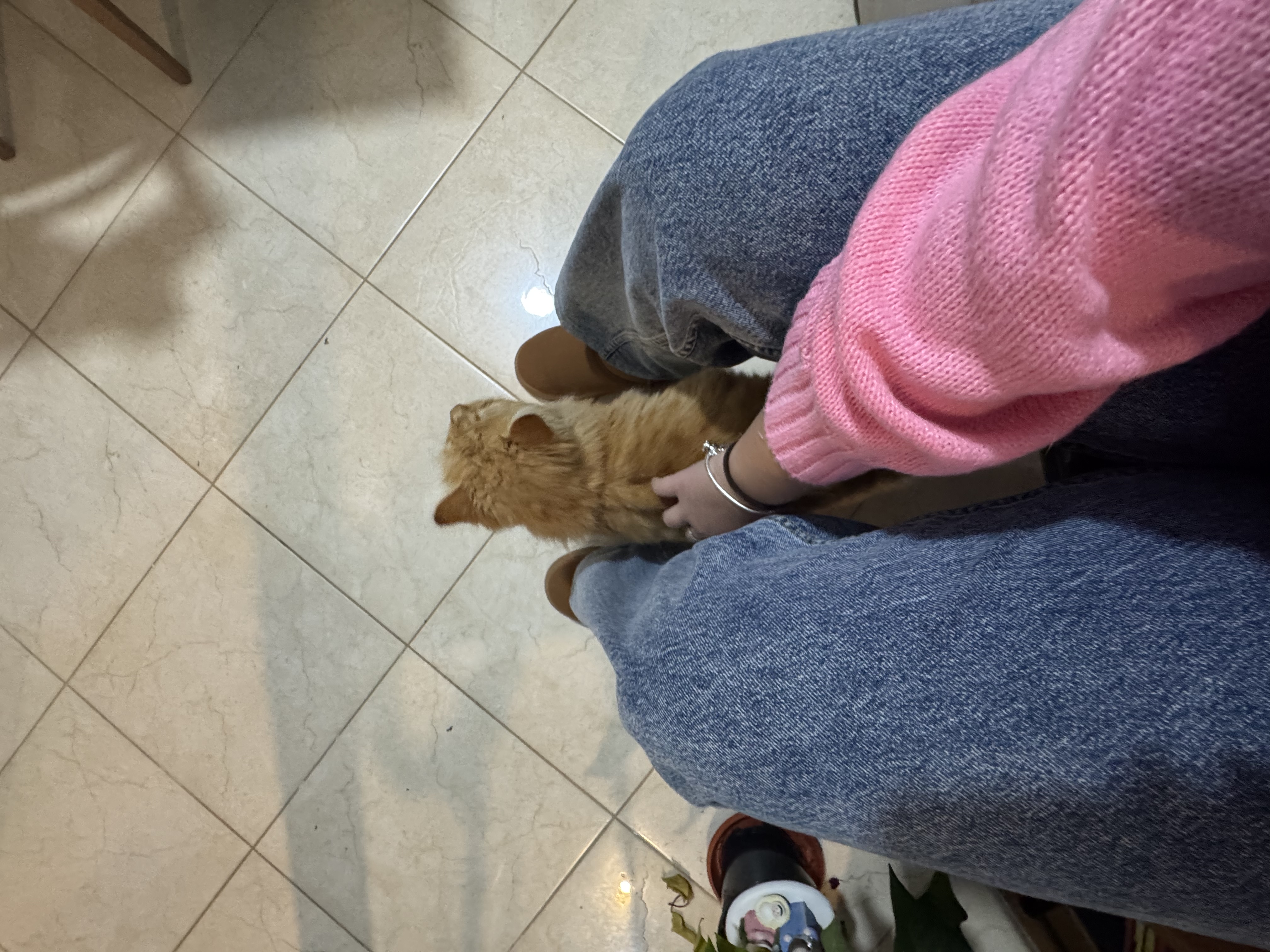 image-5