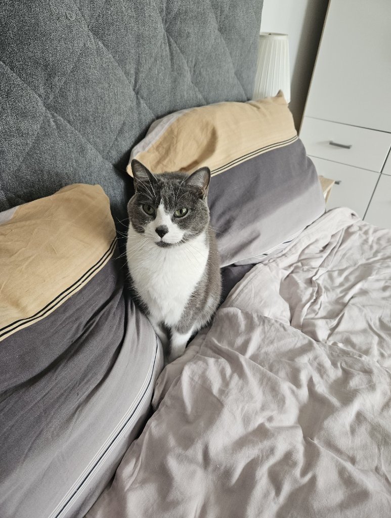 image-6