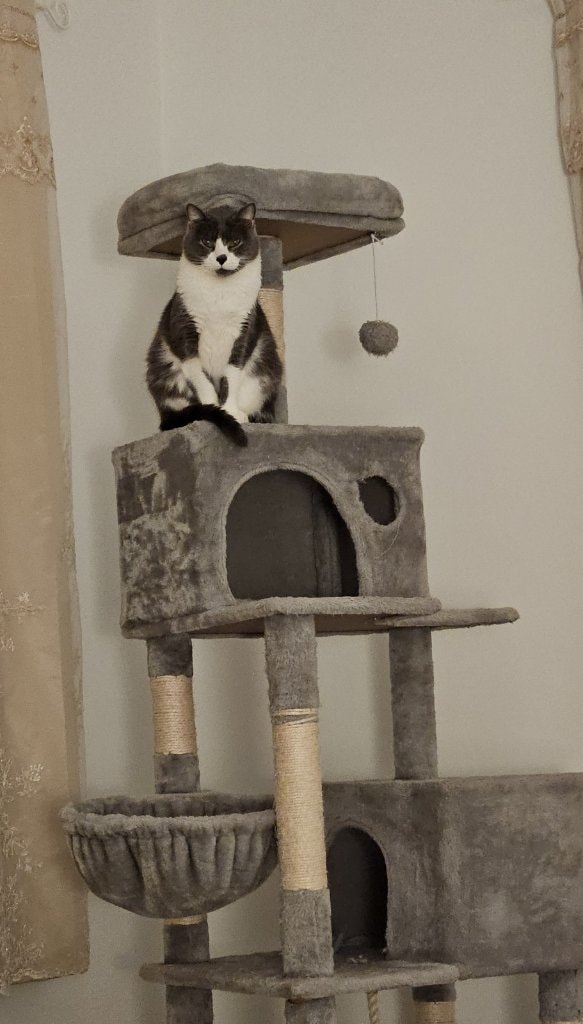 image-8