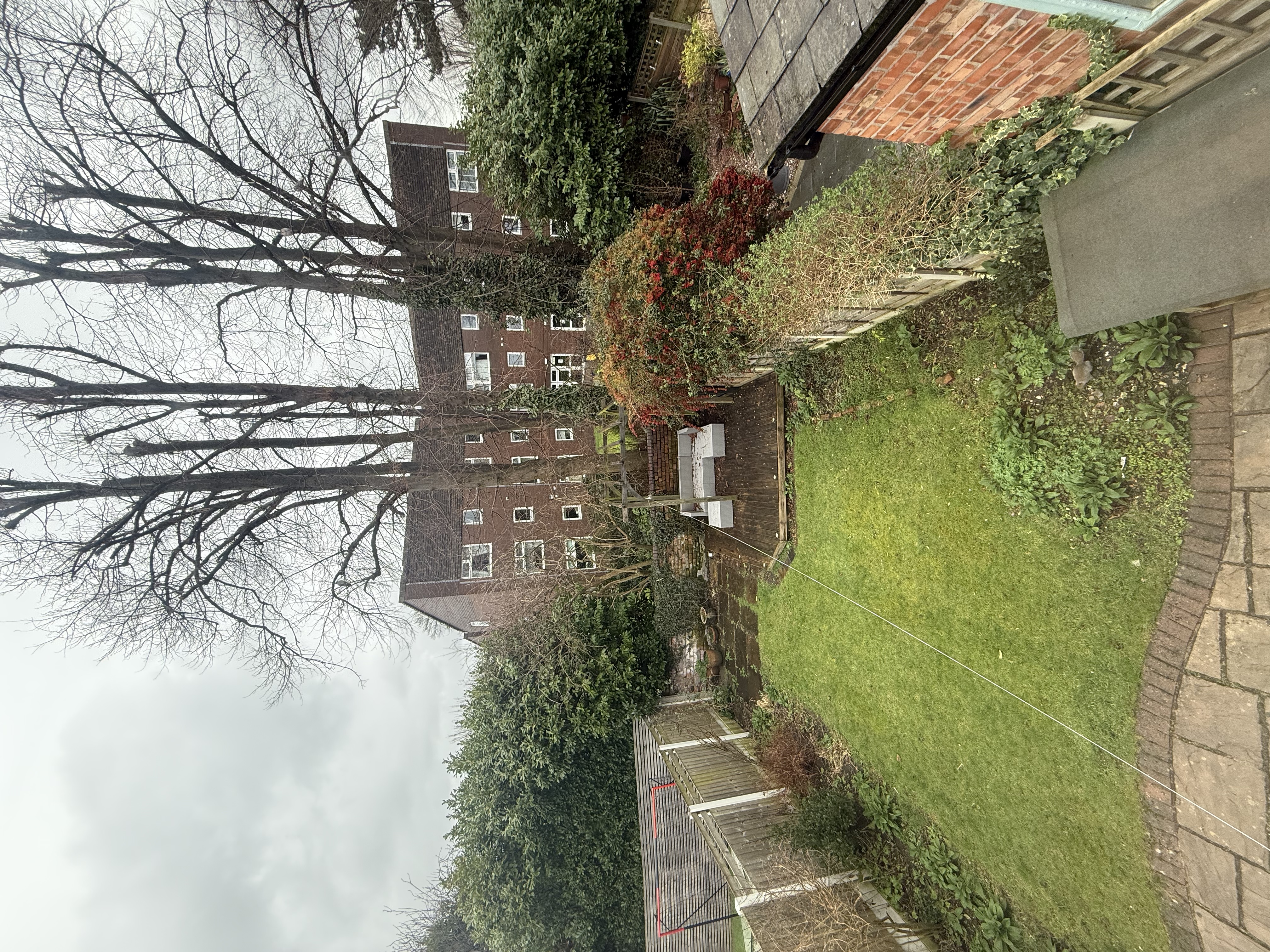 image-16