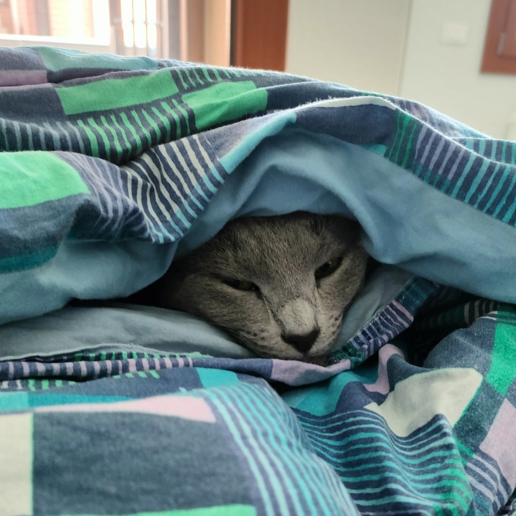 Lorenzo