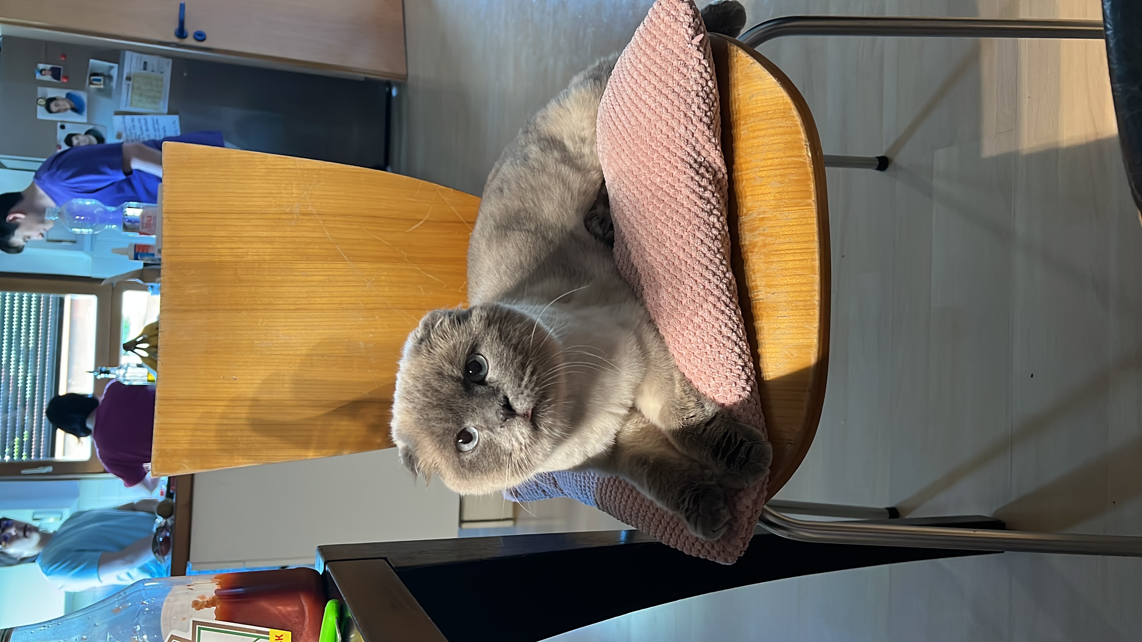 image-11