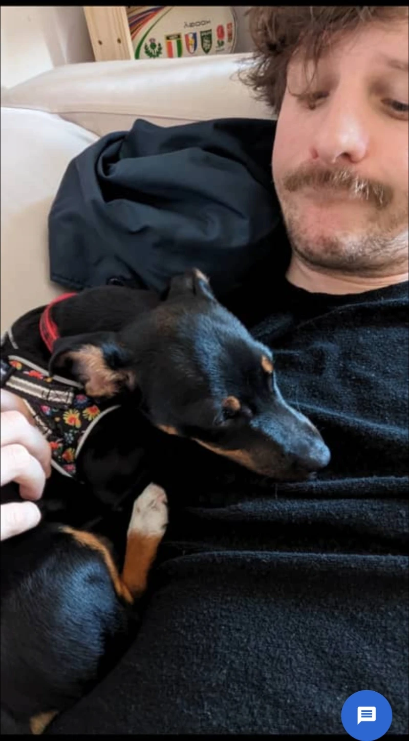 image-6