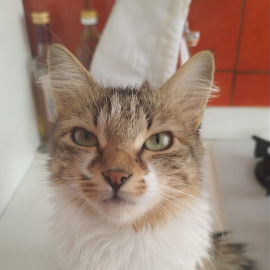 Linda