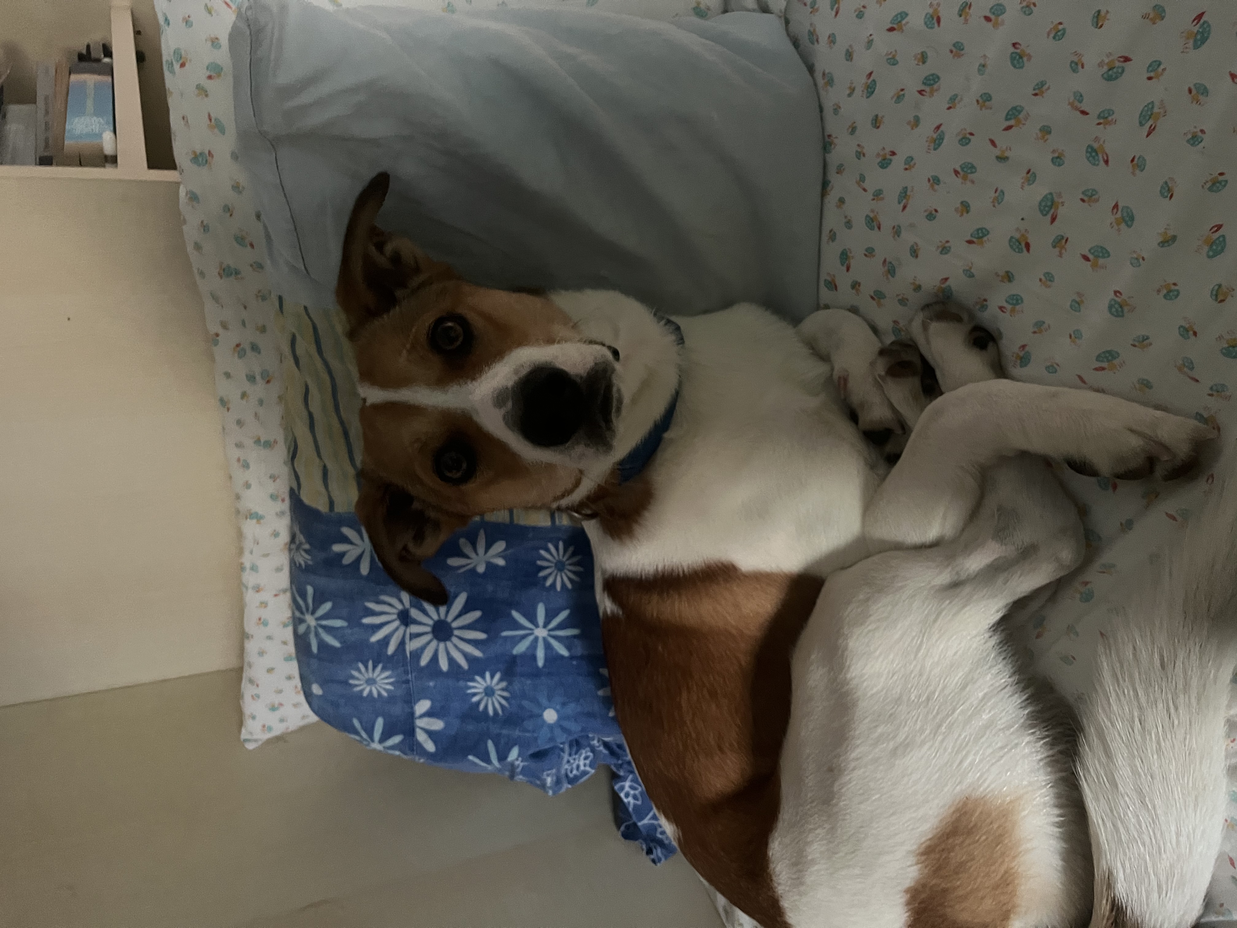 image-9