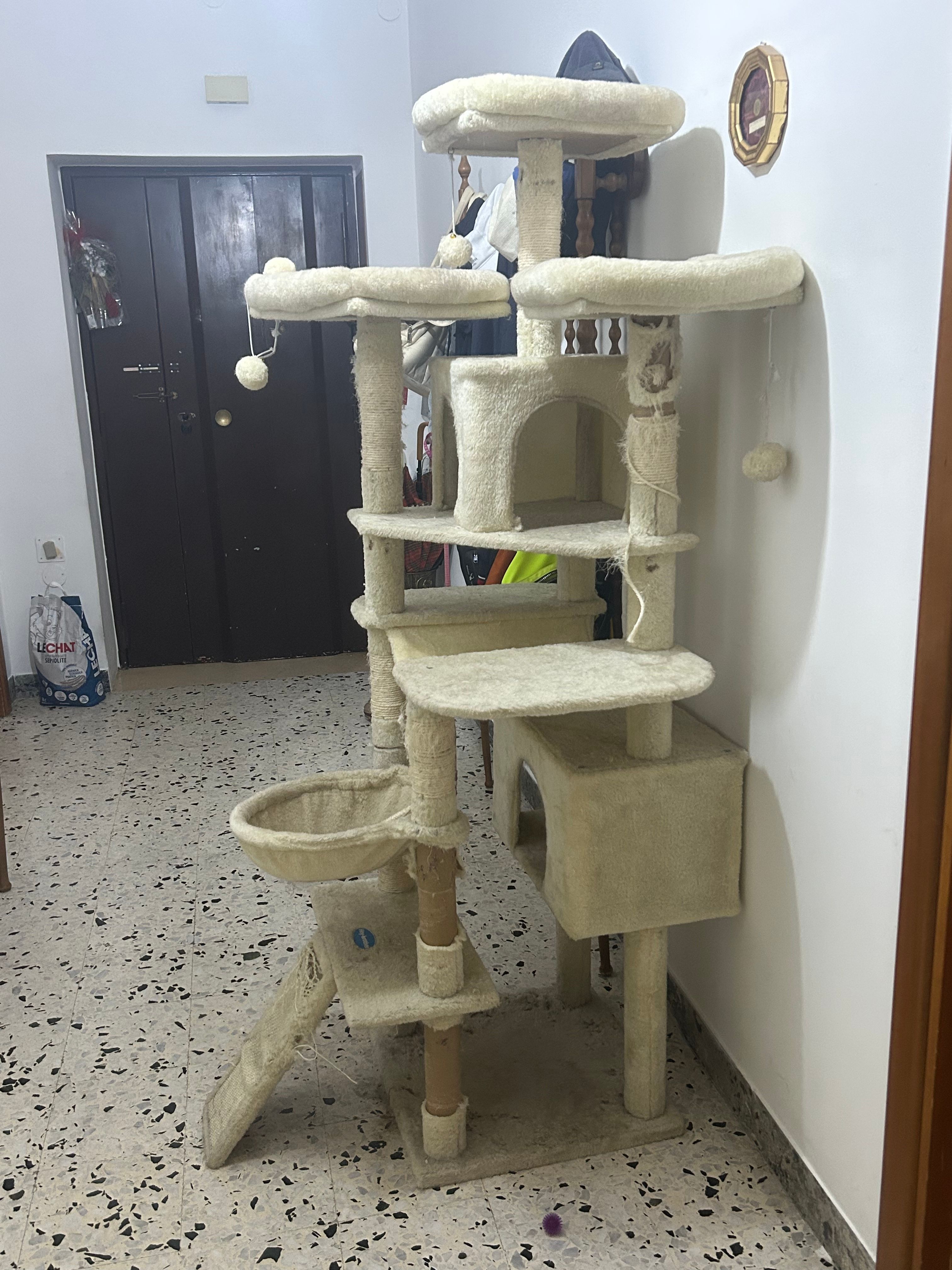 image-16