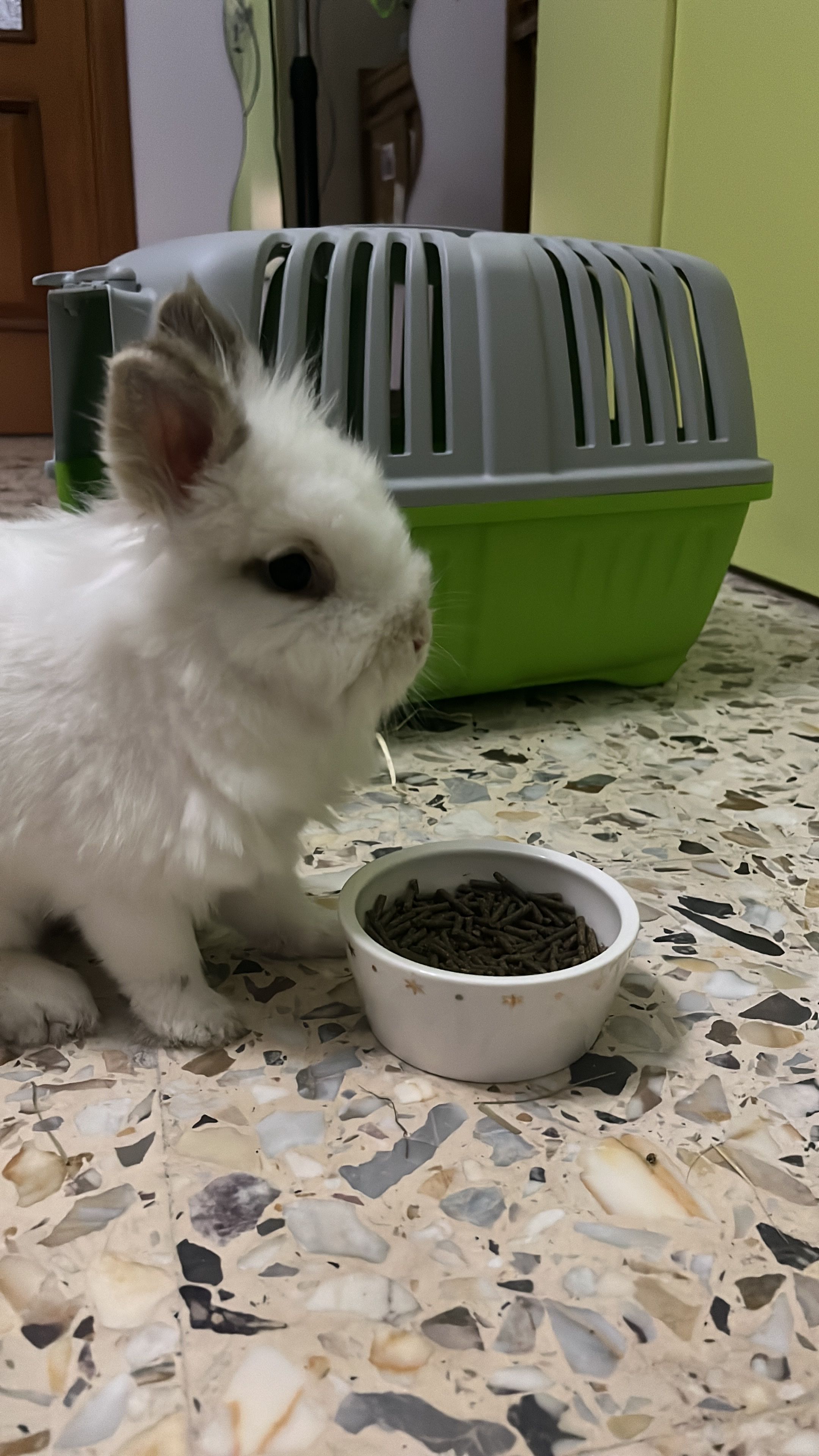 image-11