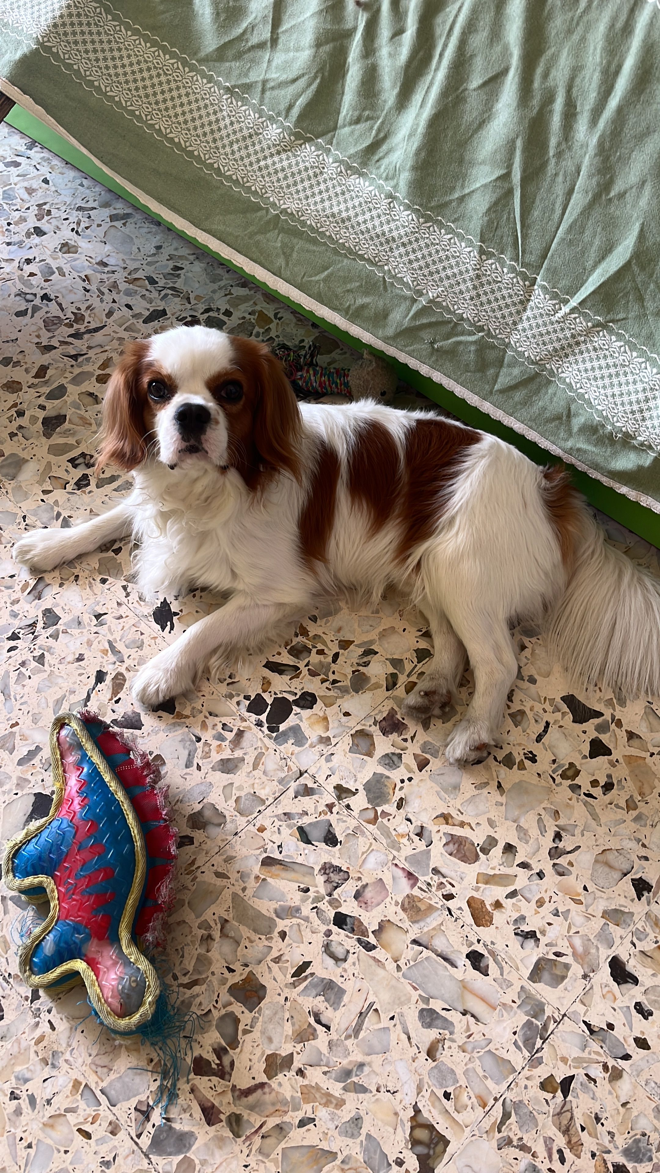 image-12