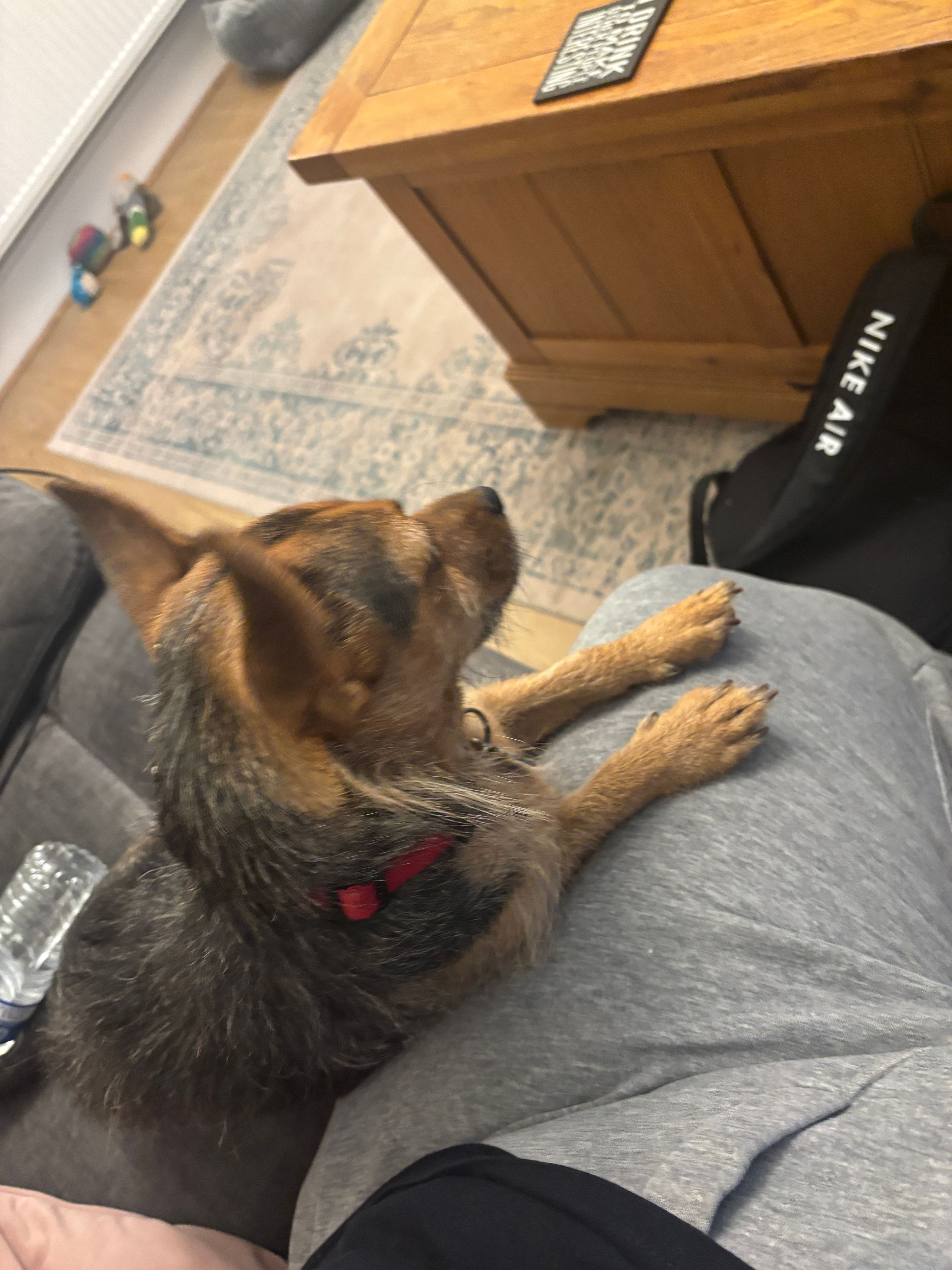 image-18