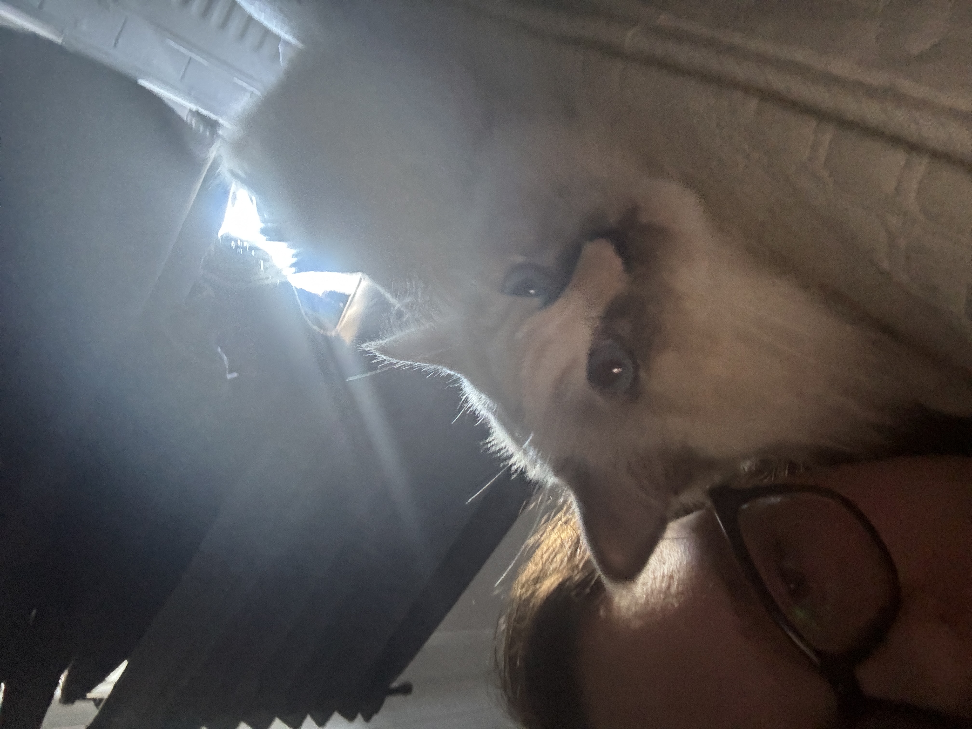 image-7