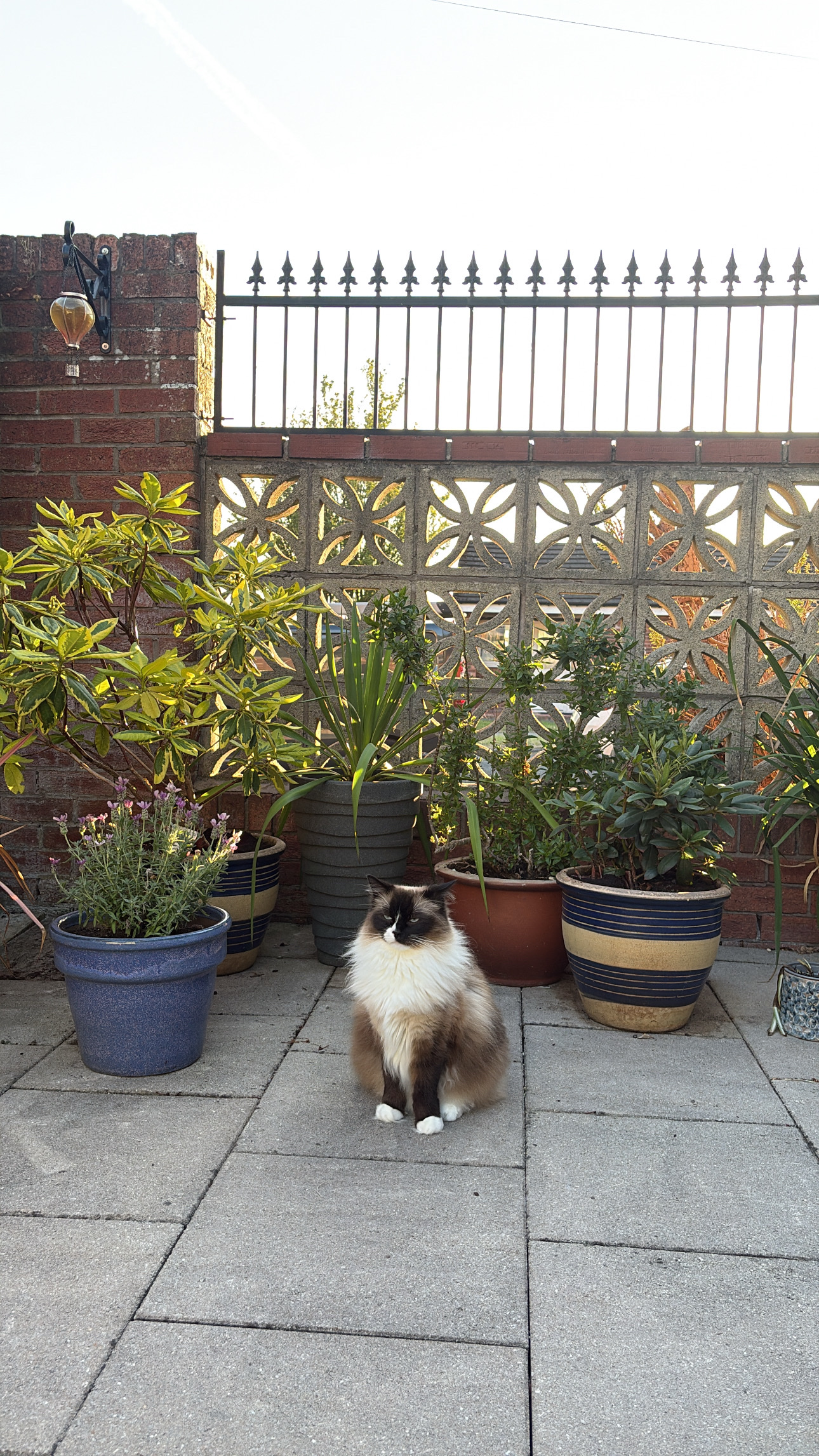 image-10