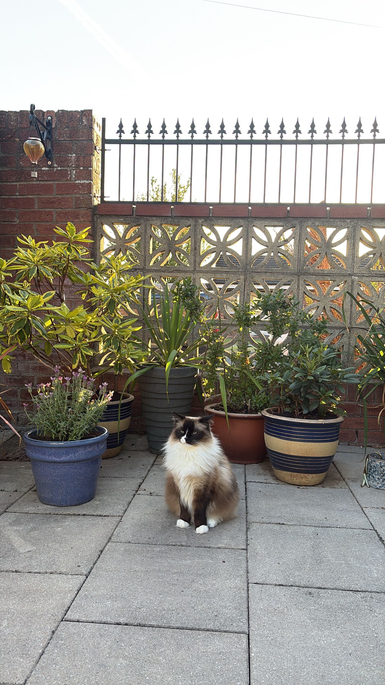 image-10