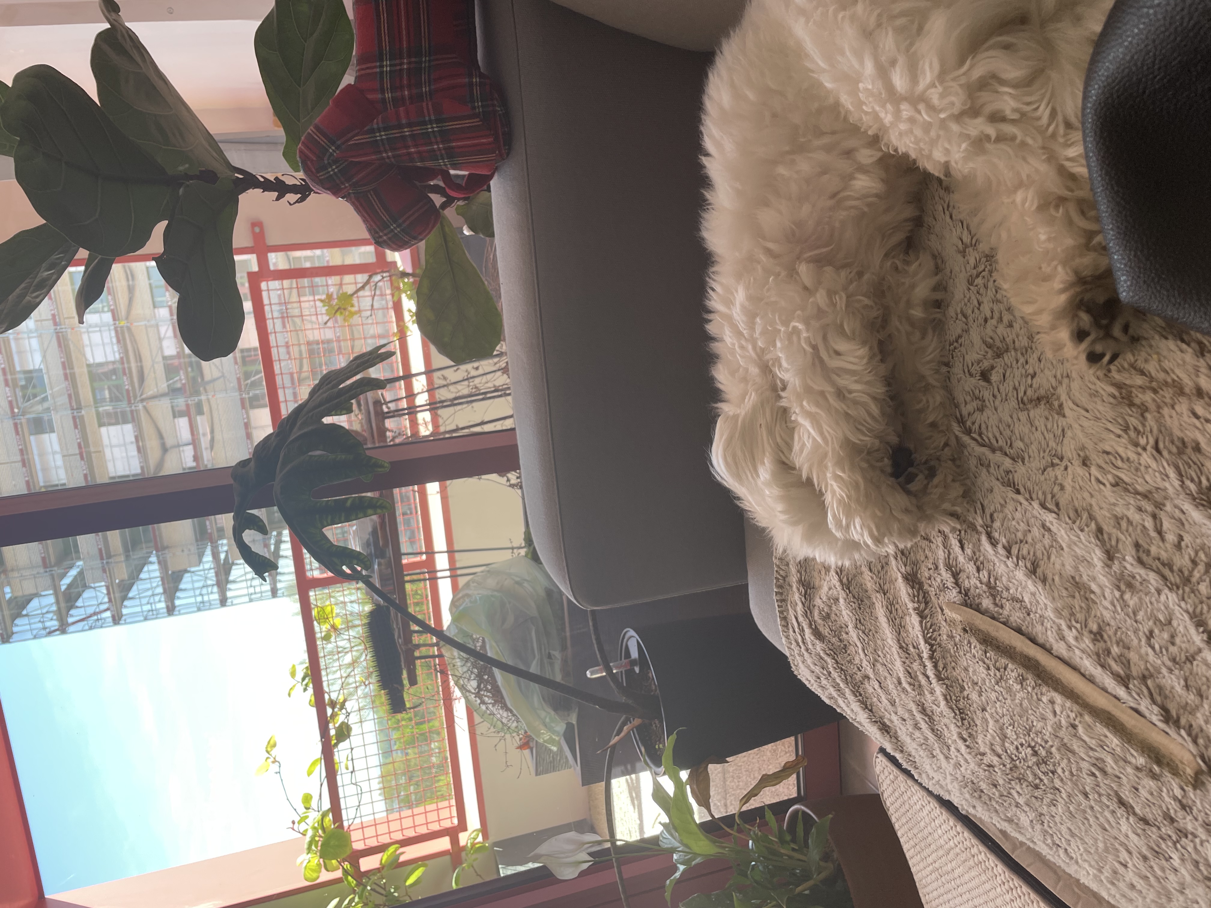 image-4
