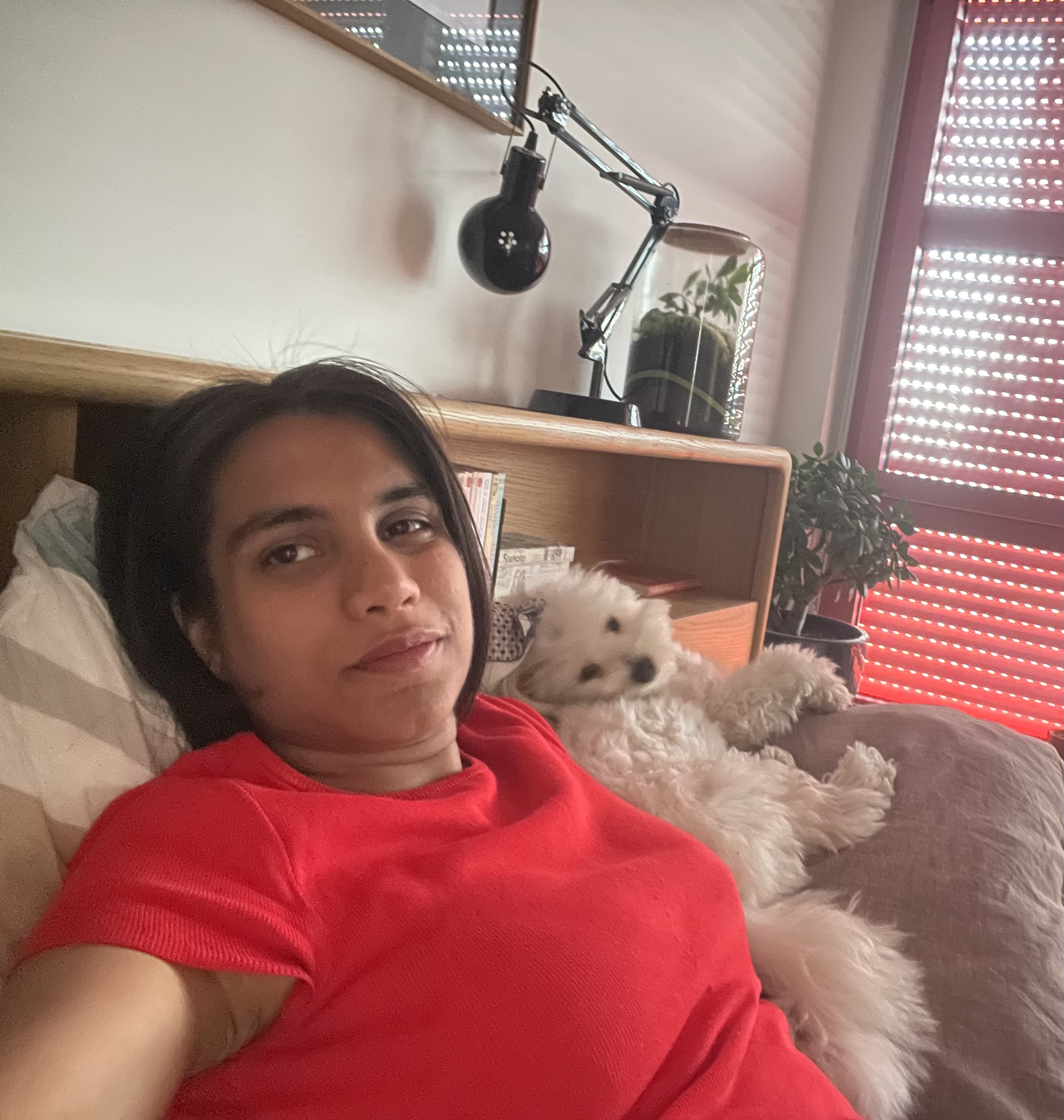 image-2