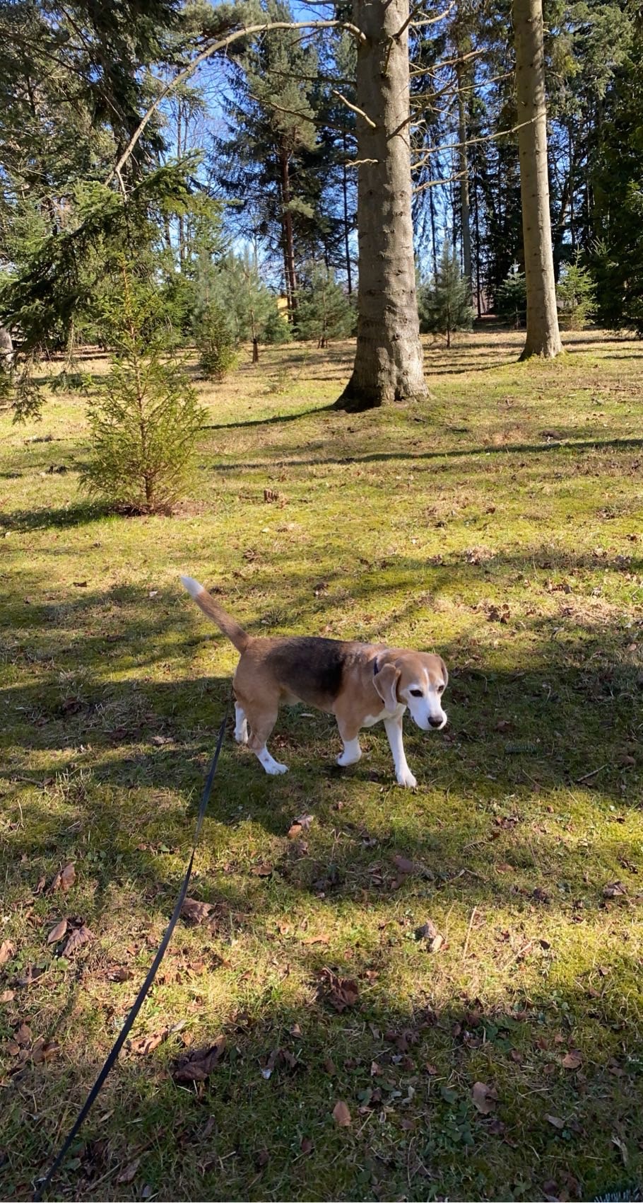 image-6