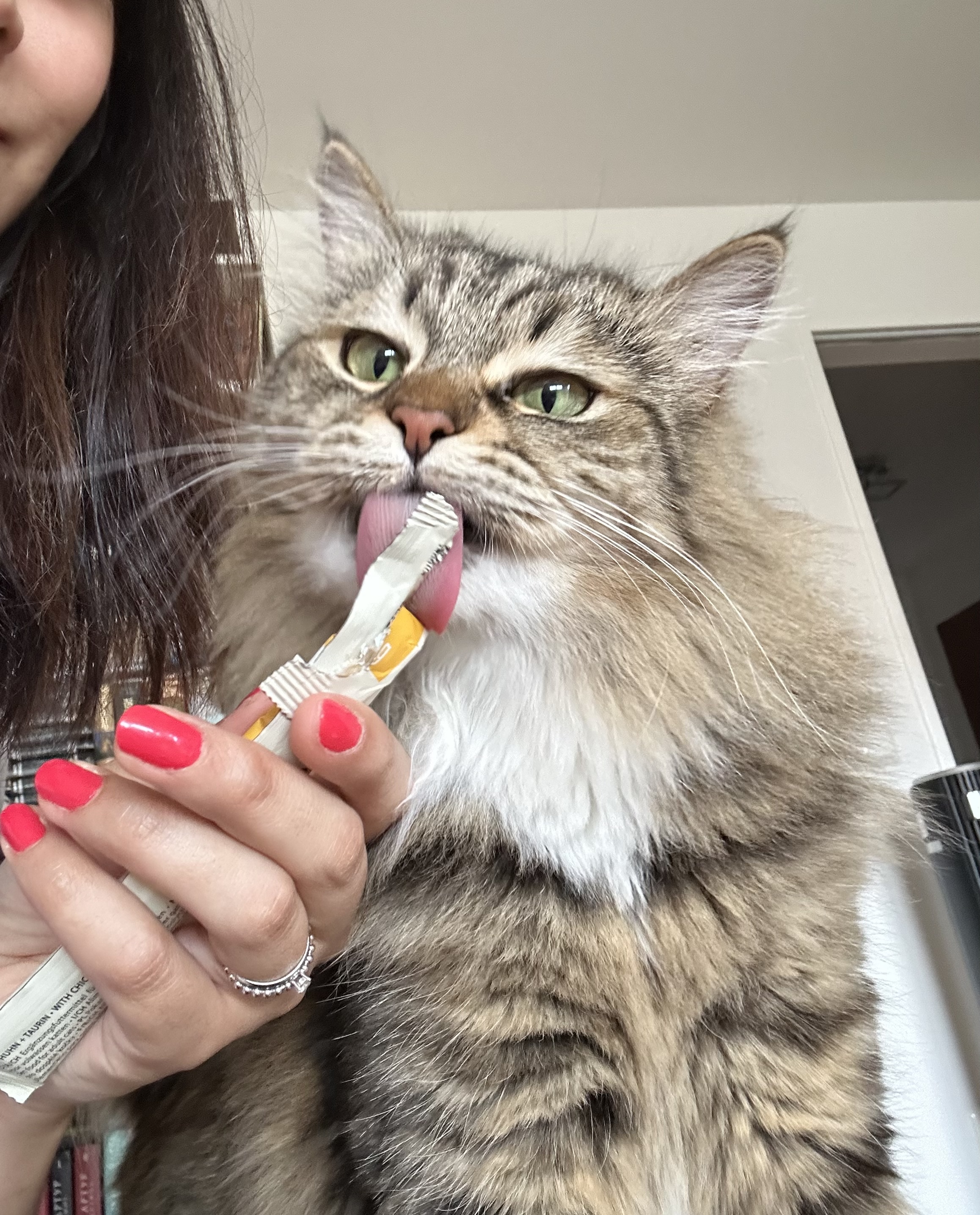 image-3
